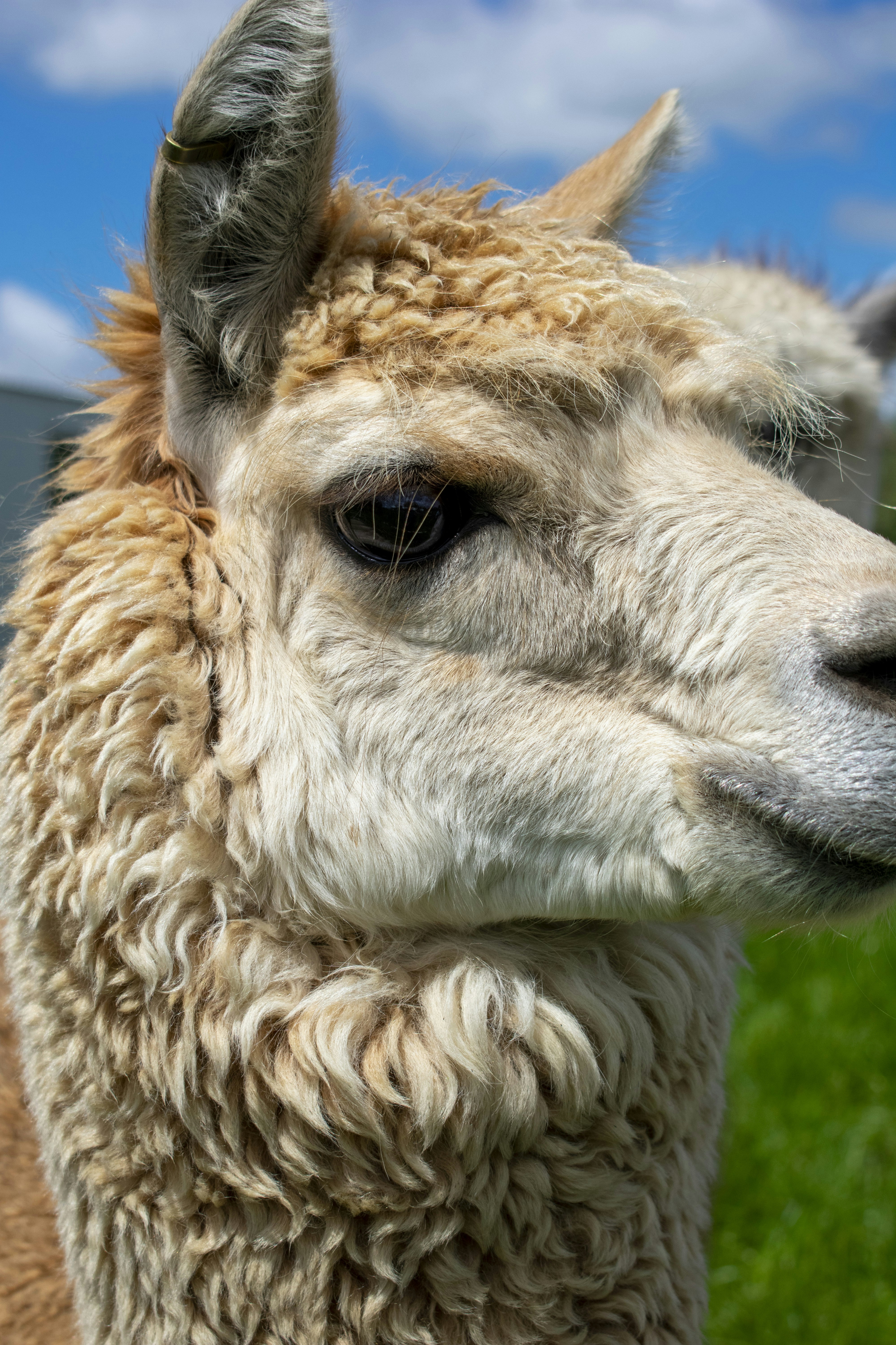 Photo by ellephant_photography