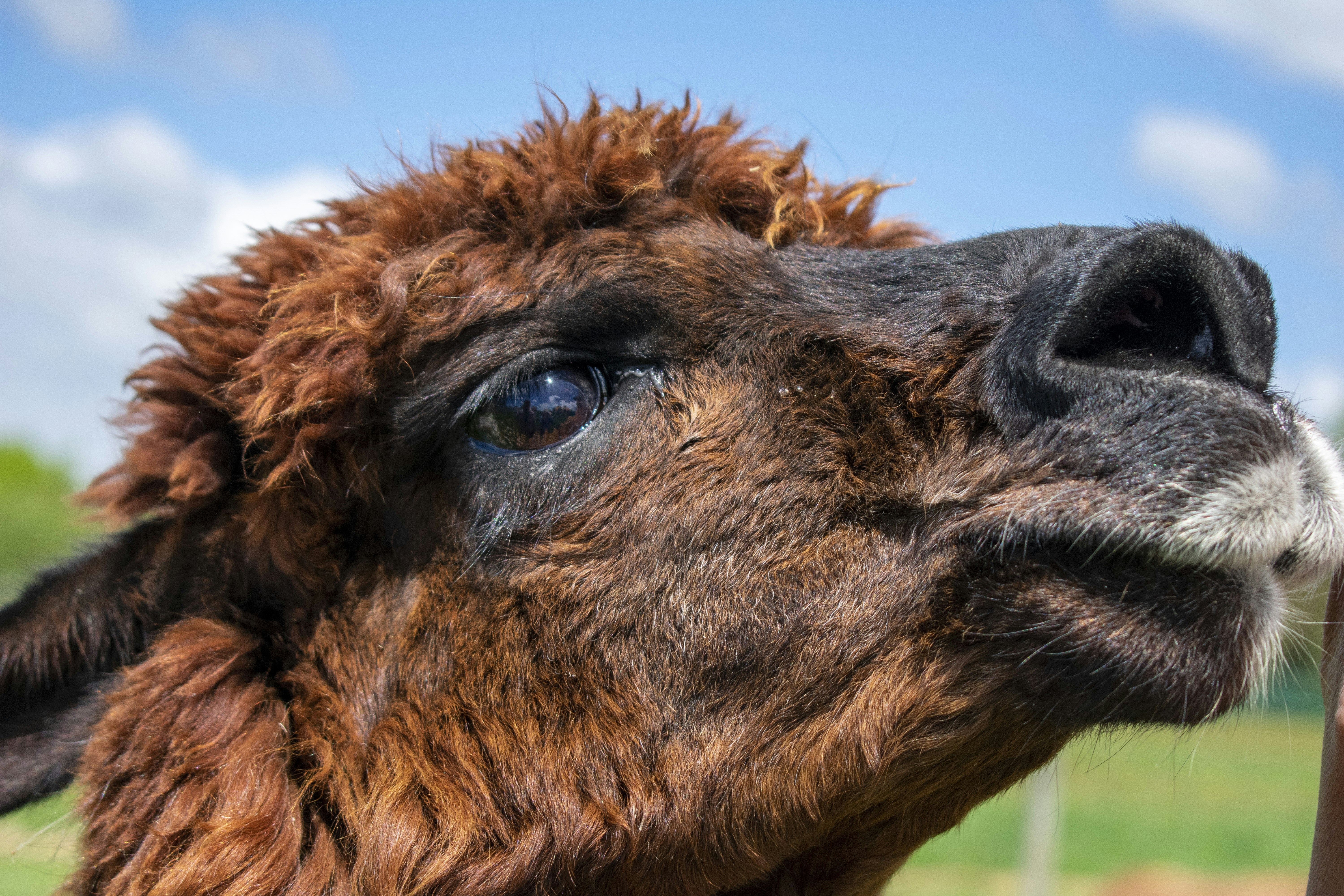 Photo by ellephant_photography