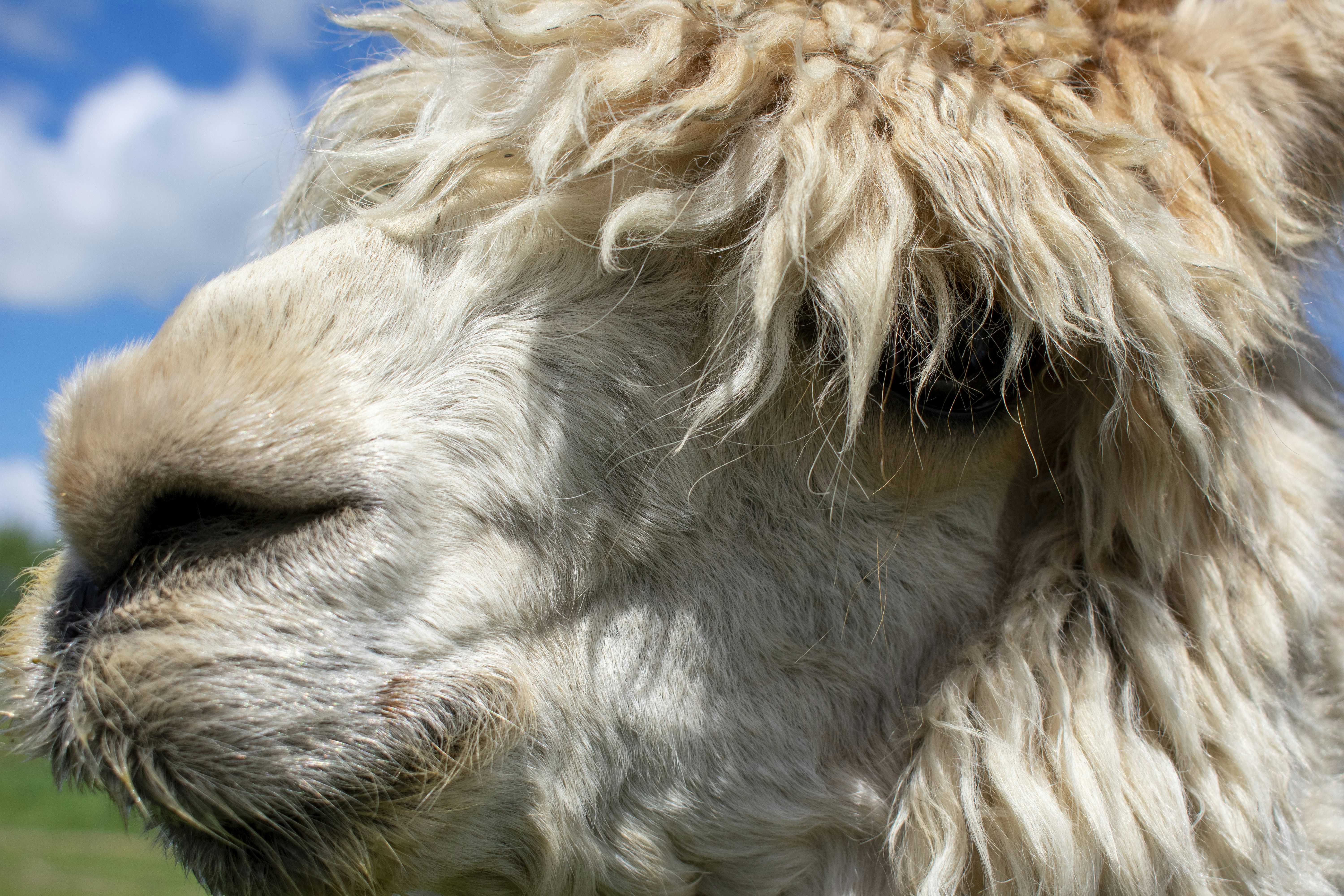 Photo by ellephant_photography