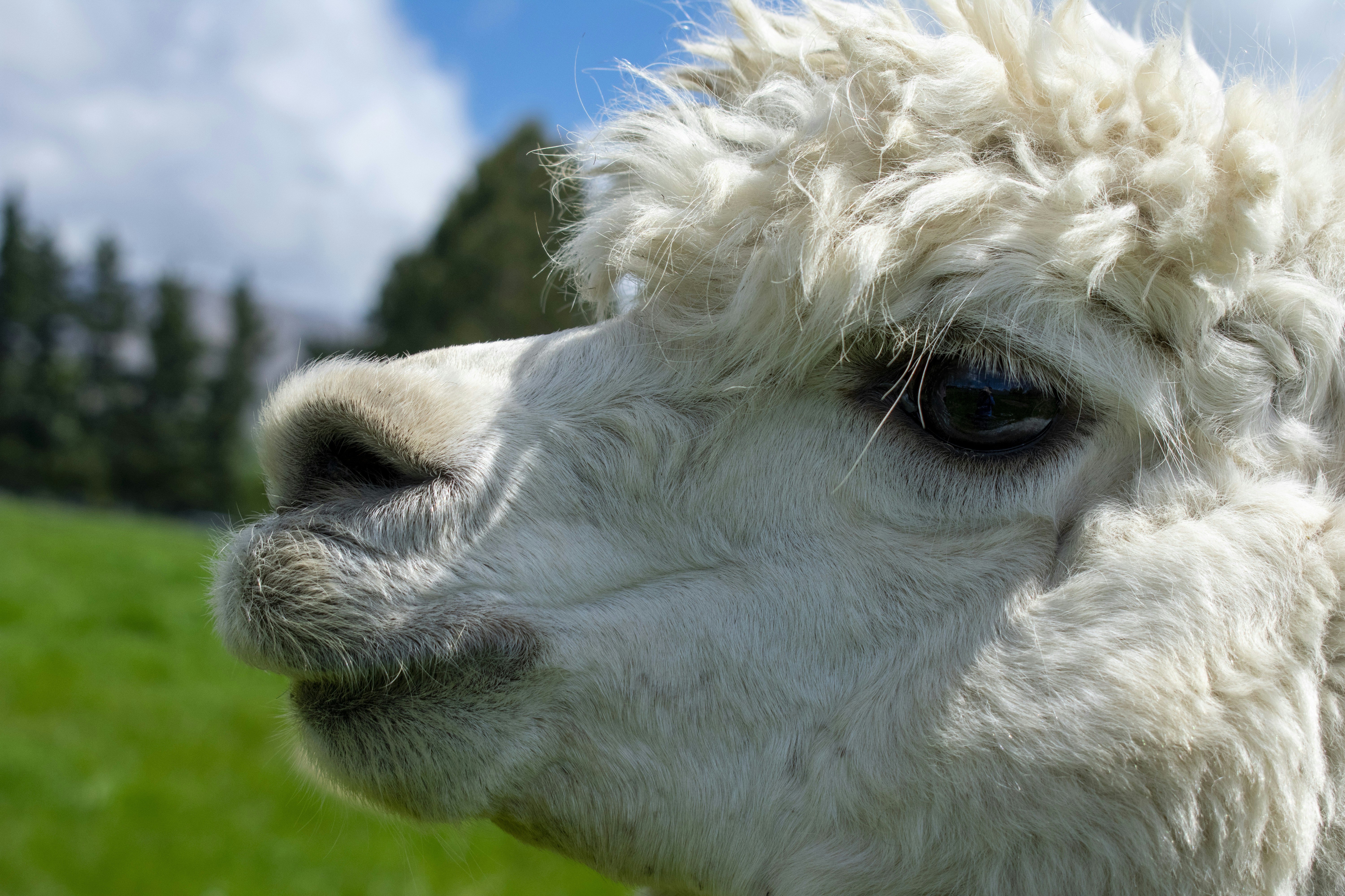 Photo by ellephant_photography