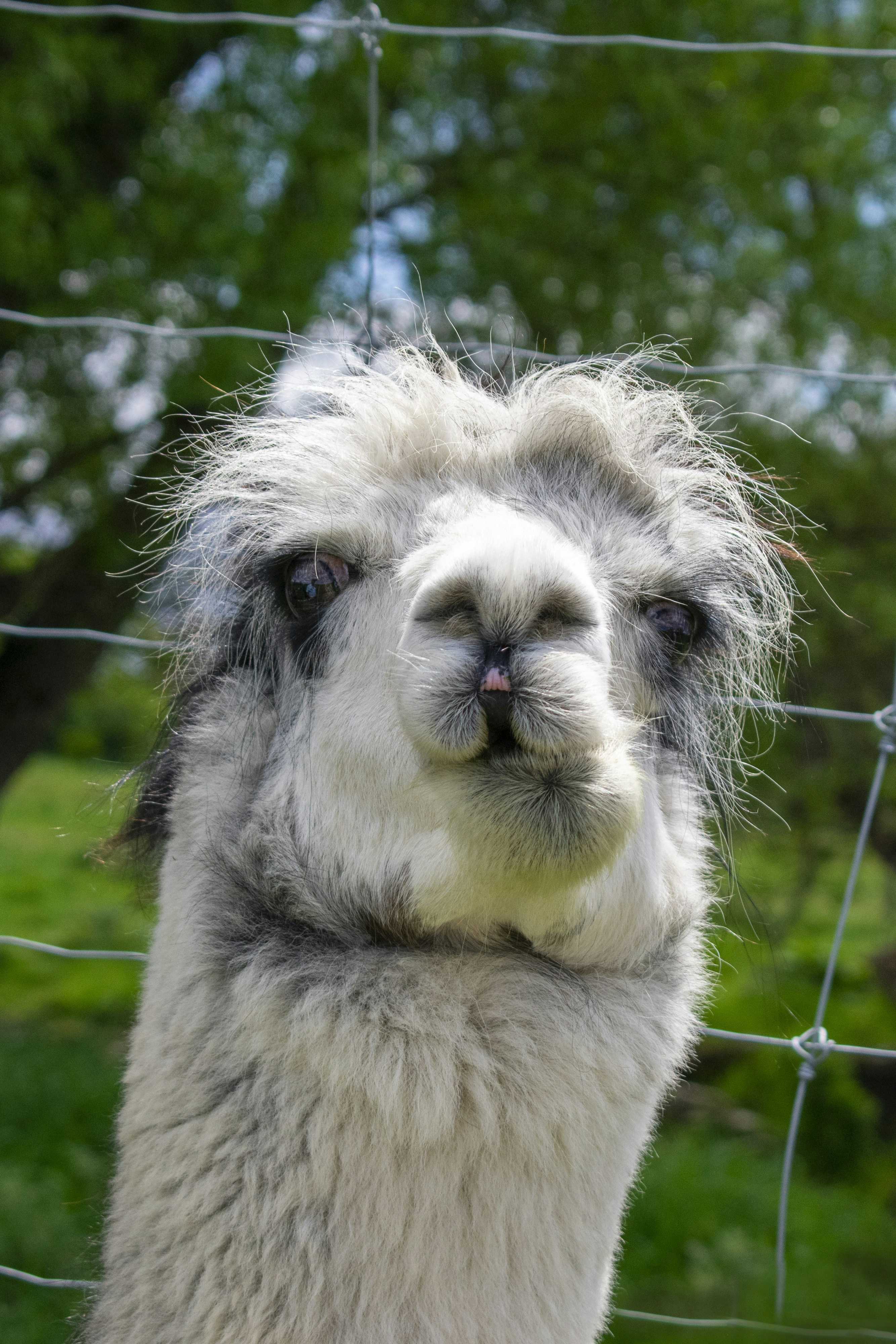 Photo by ellephant_photography