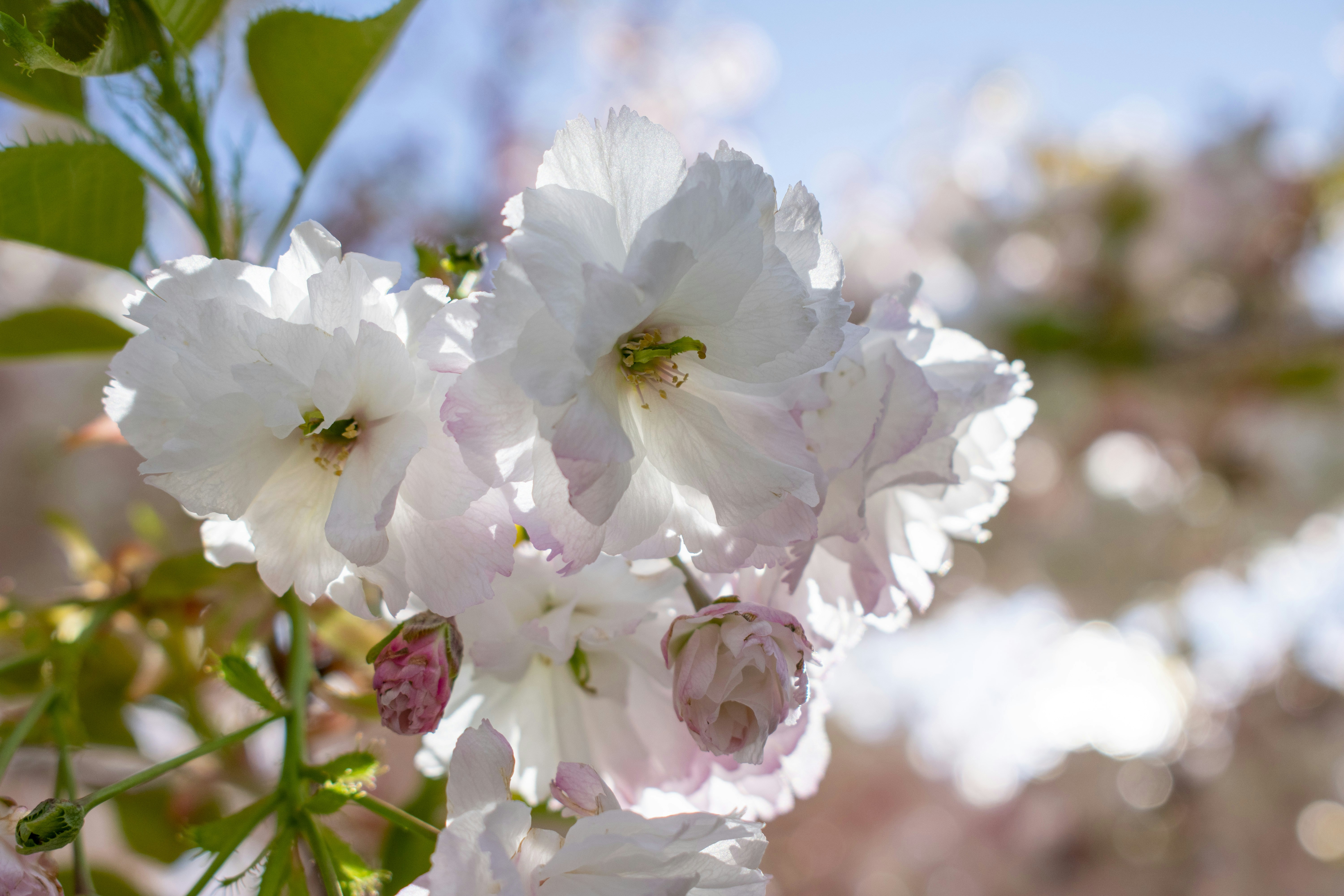 Photo by ellephant_photography