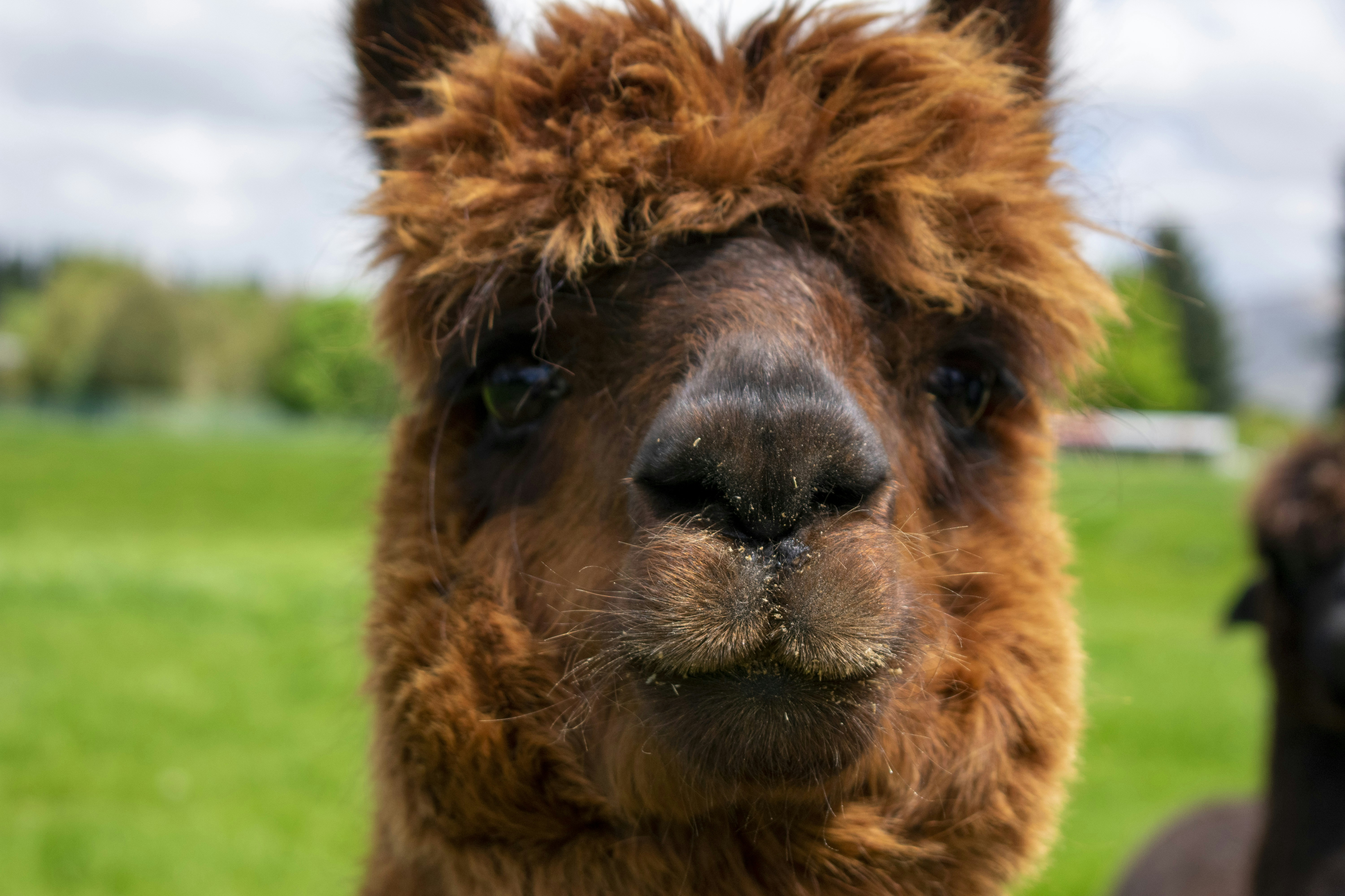 Photo by ellephant_photography