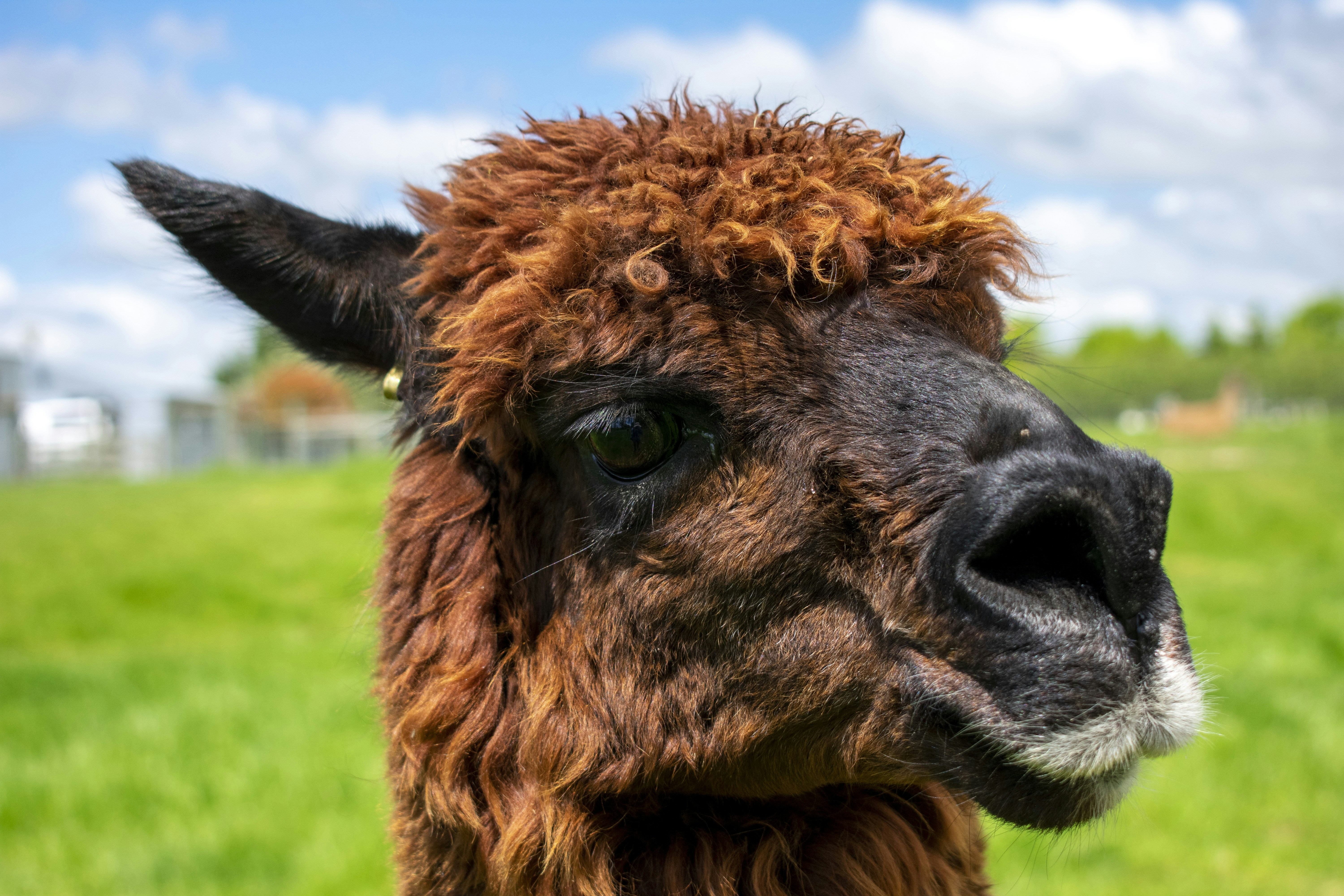 Photo by ellephant_photography