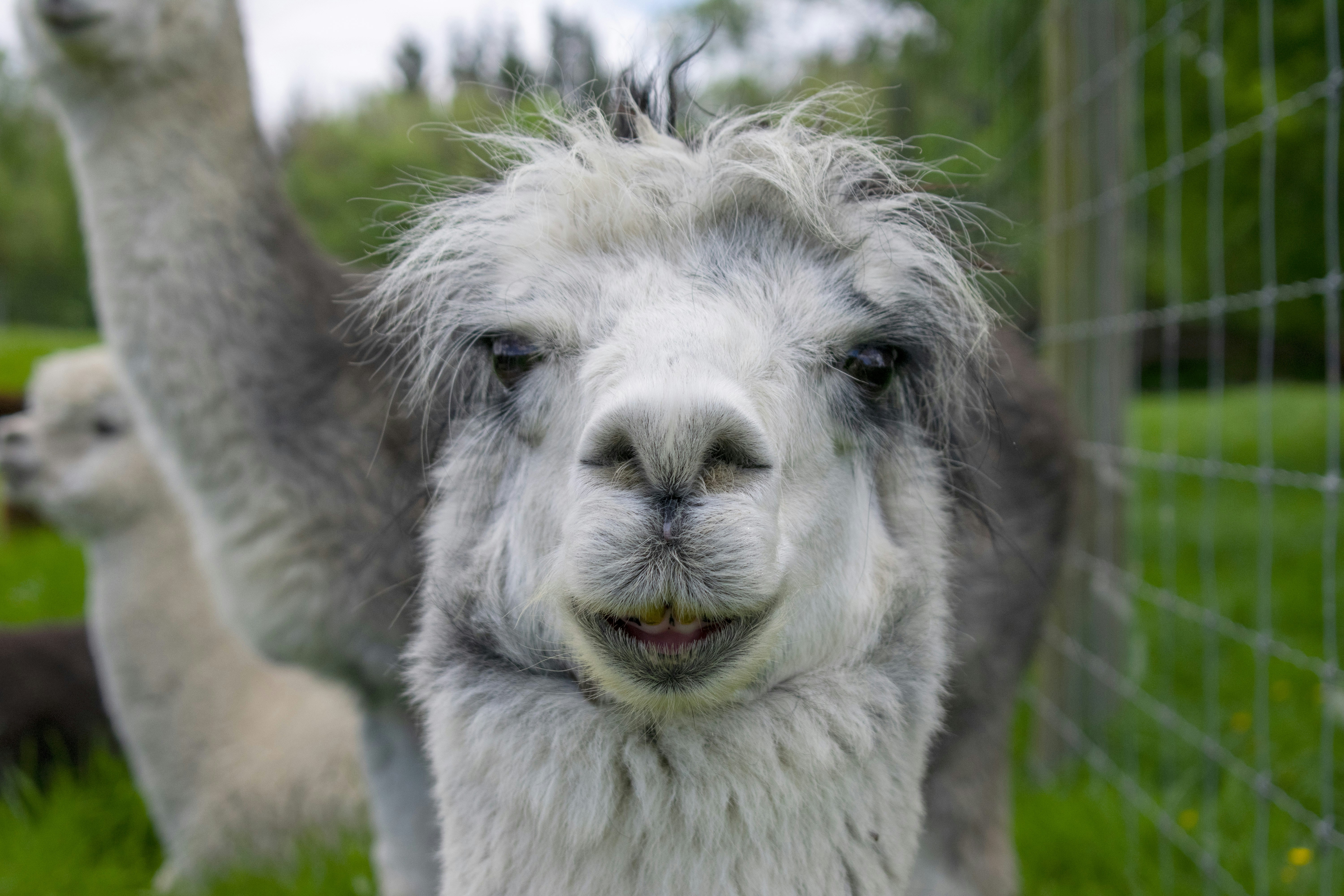 Photo by ellephant_photography