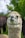 A close-up of a fluffy alpaca with light brown and white wool against a backdrop of lush green trees and grass. The alpaca's face is expressive with its mouth slightly open, showing some teeth.