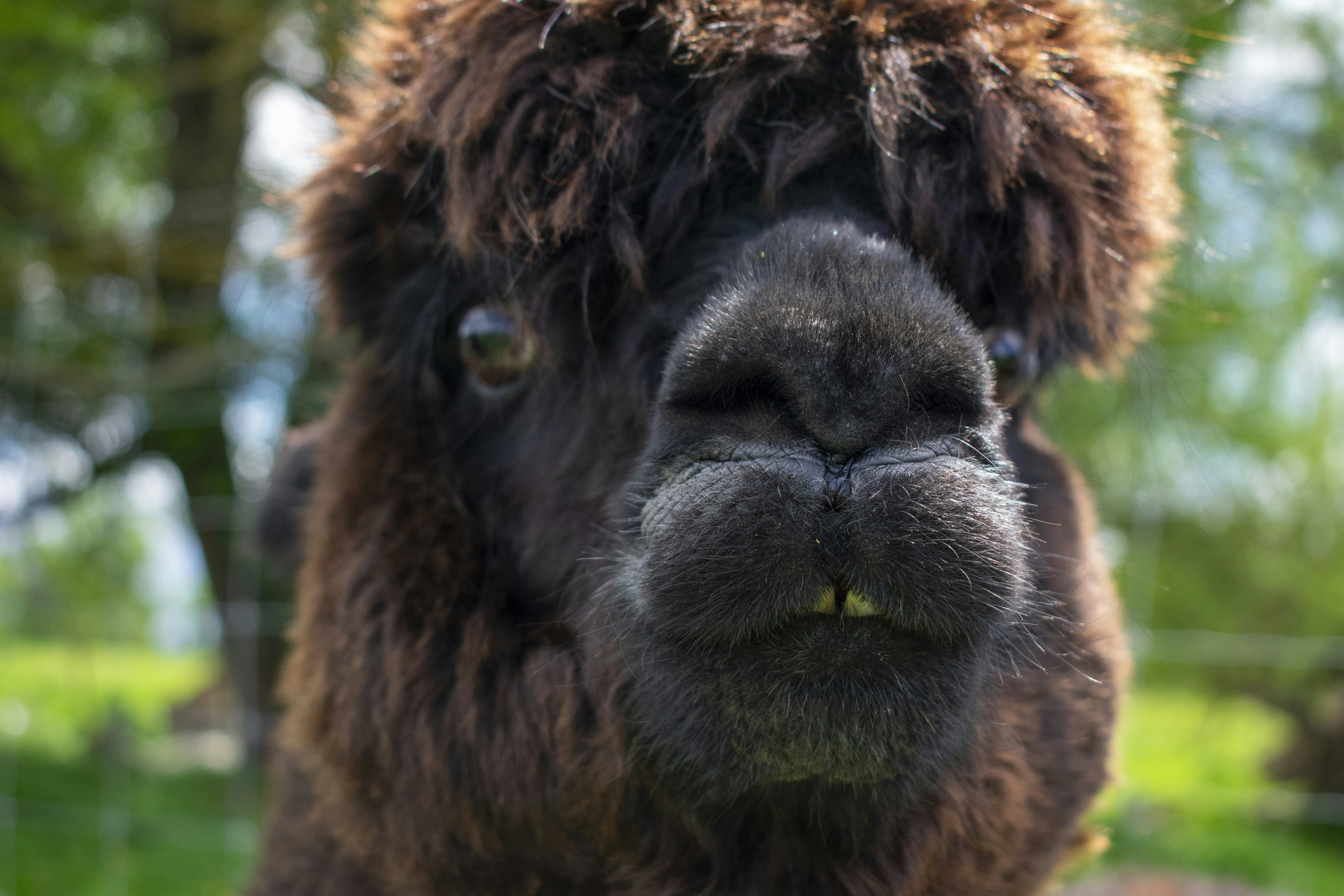 Photo by ellephant_photography