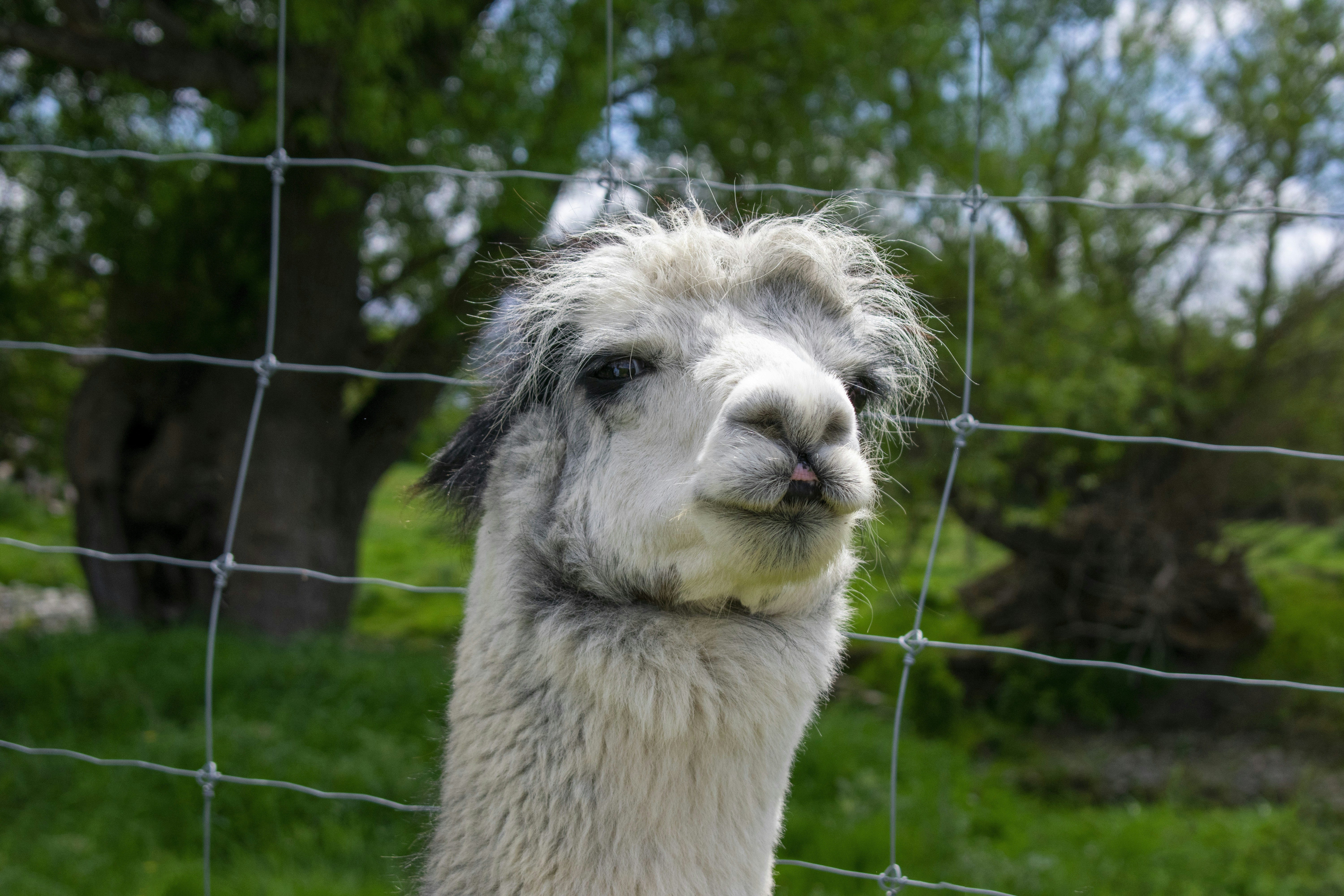 Photo by ellephant_photography