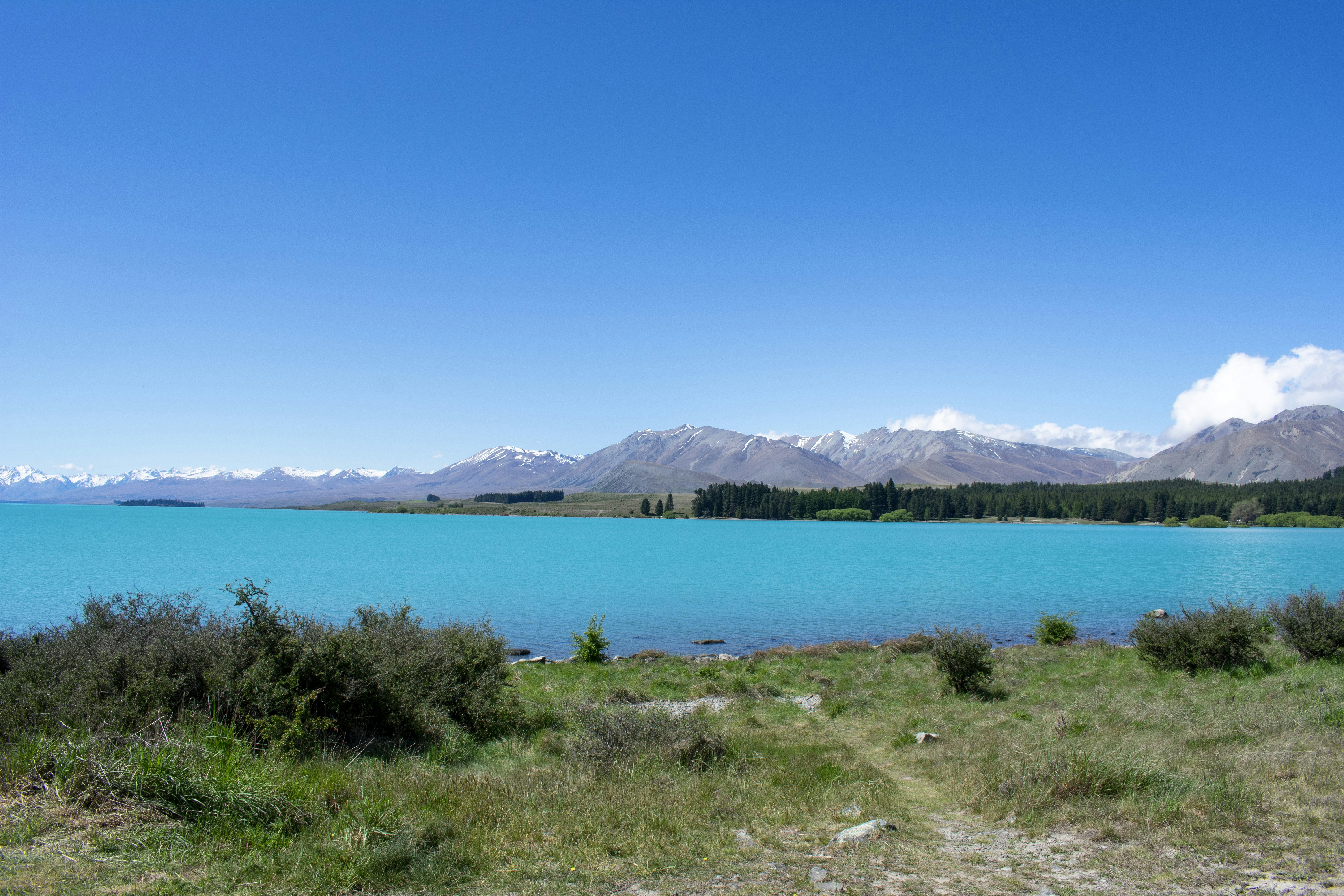 Photo by ellephant_photography