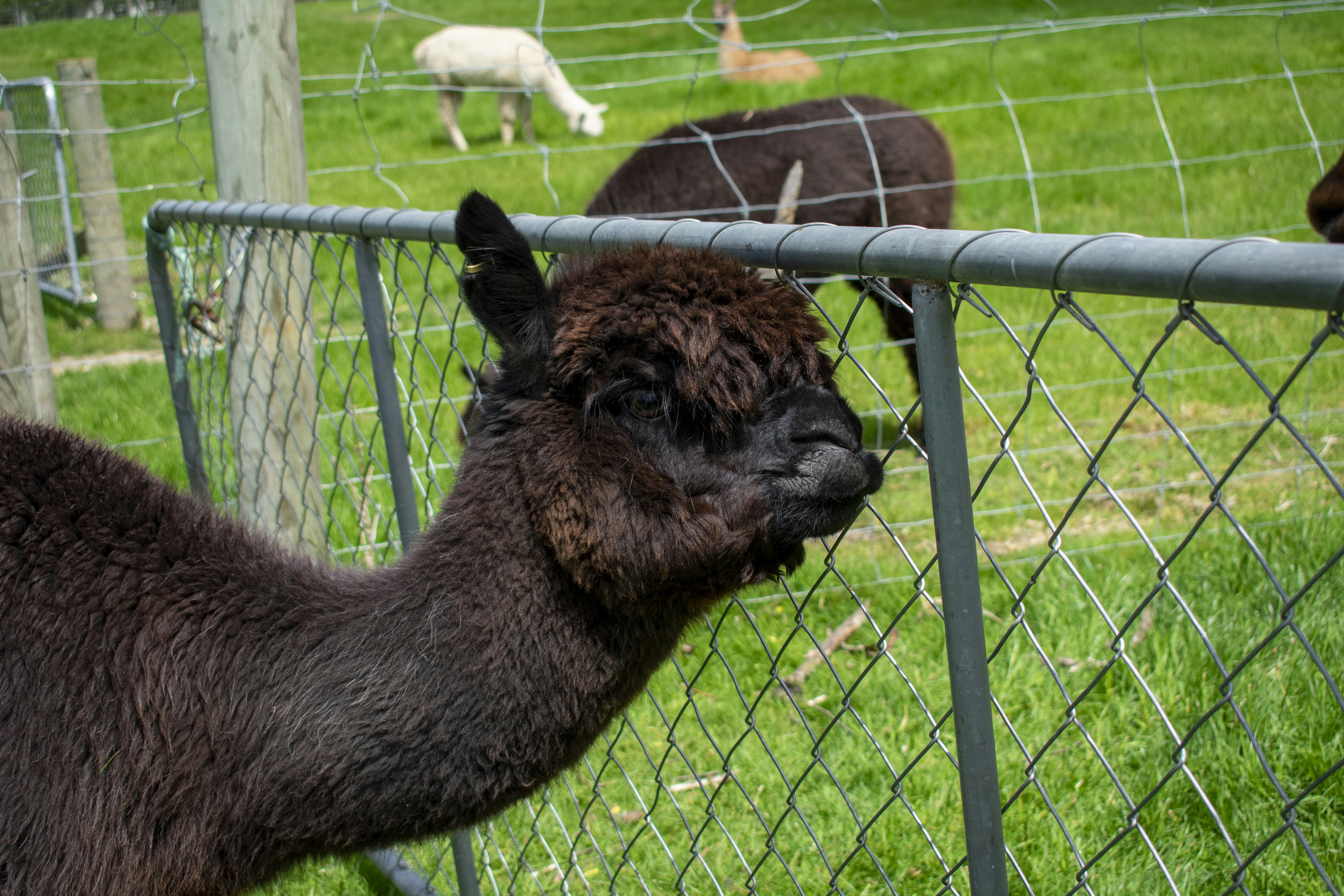 Photo by ellephant_photography