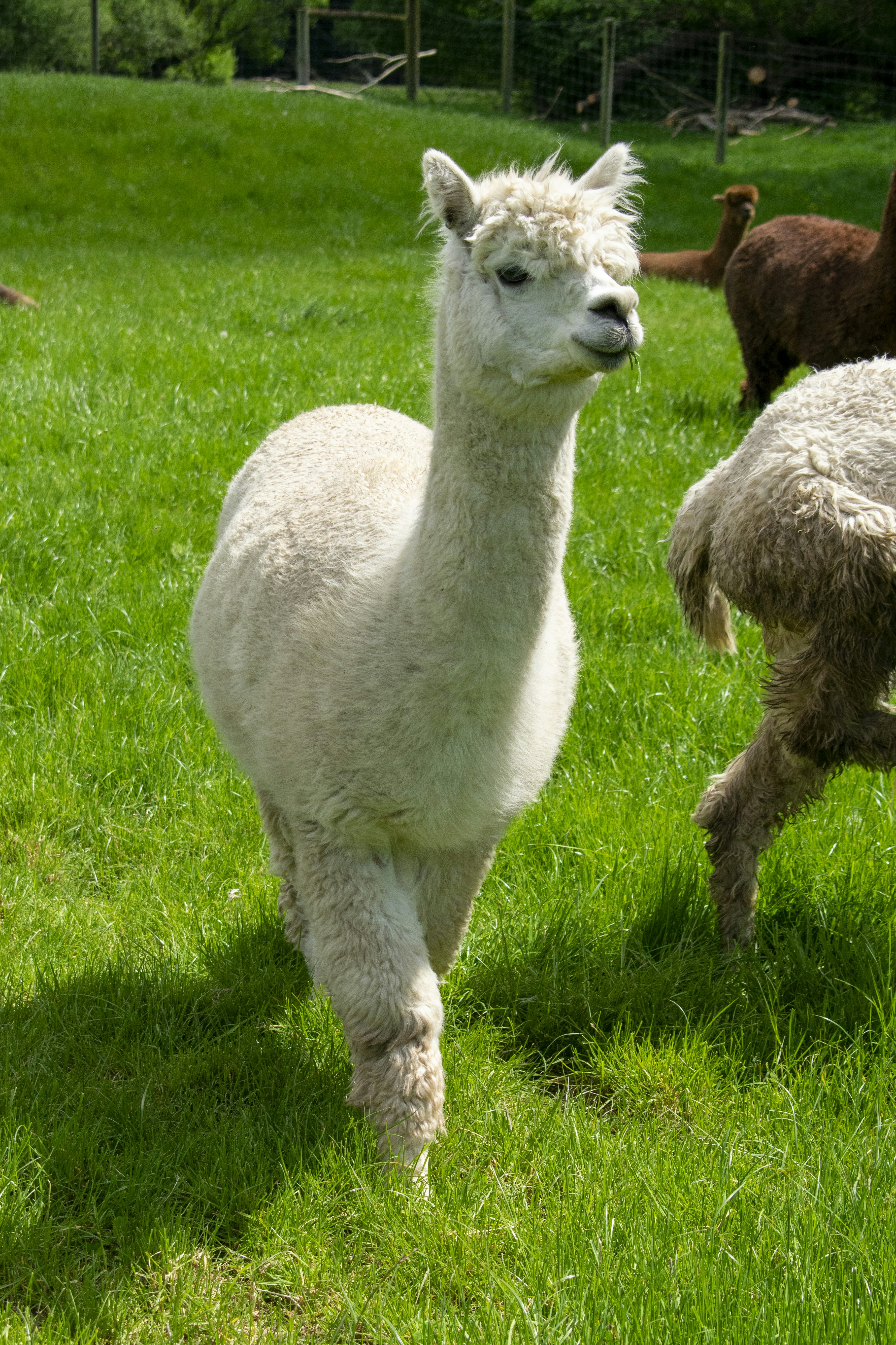 Photo by ellephant_photography