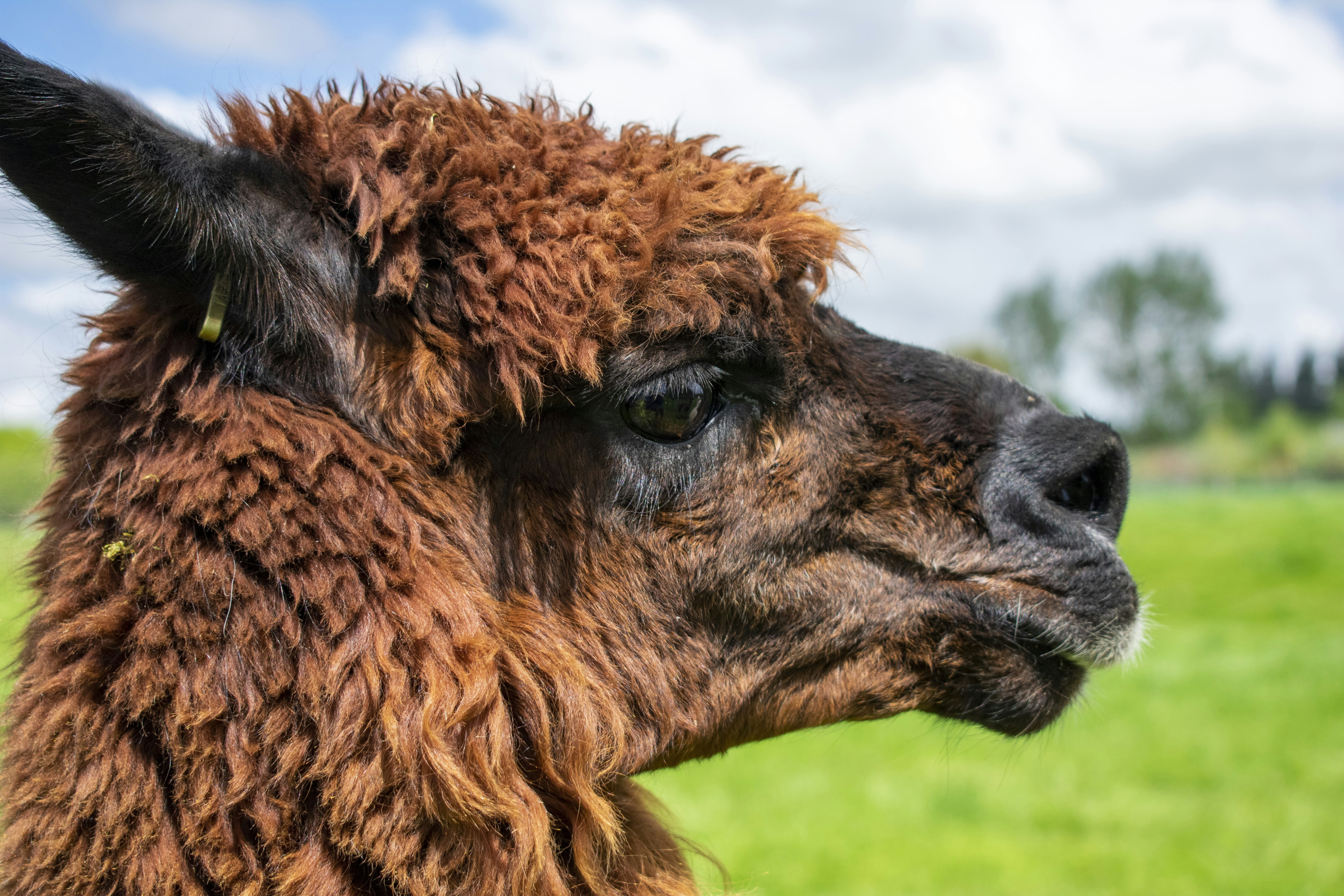 Photo by ellephant_photography