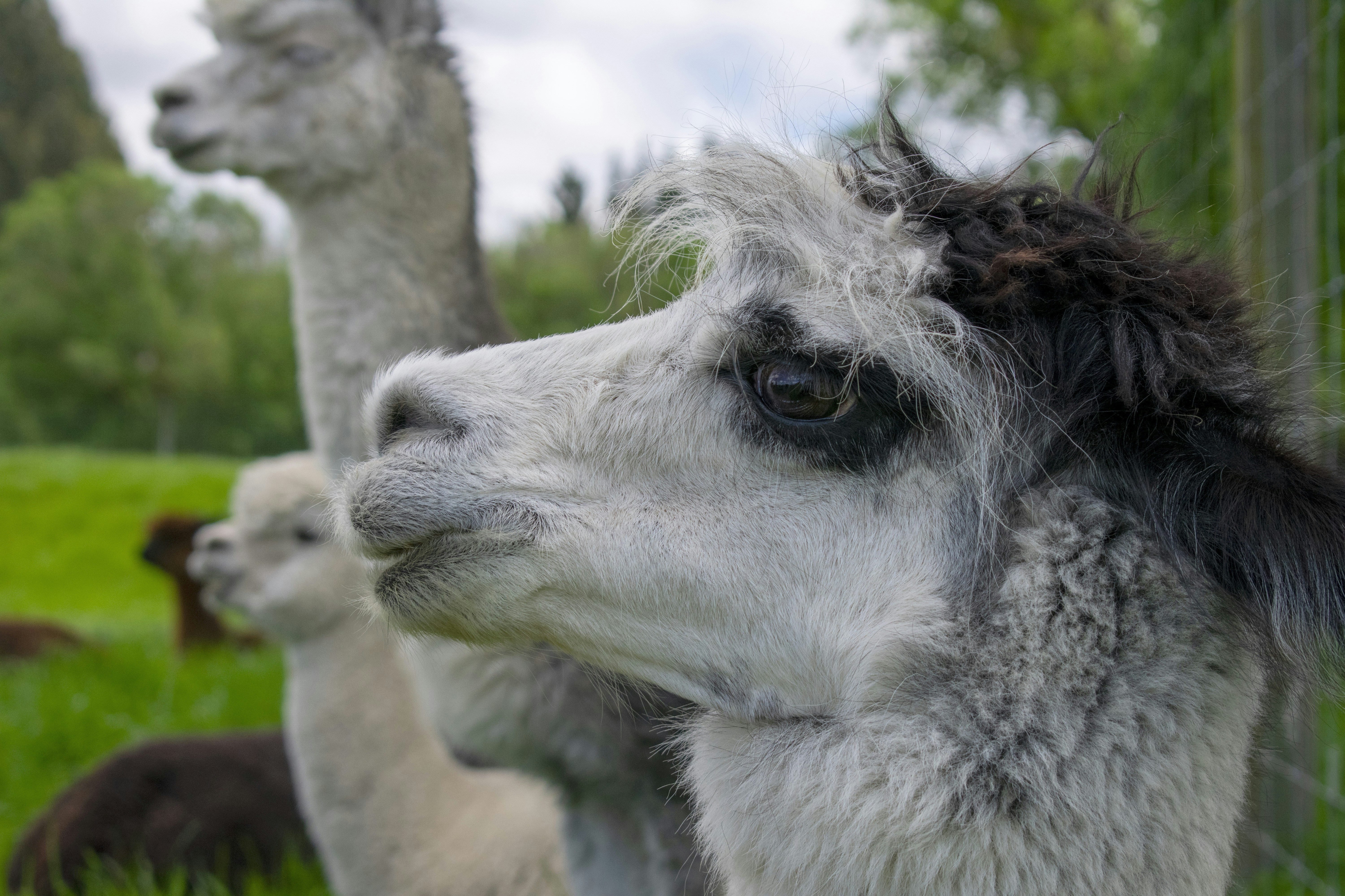 Photo by ellephant_photography