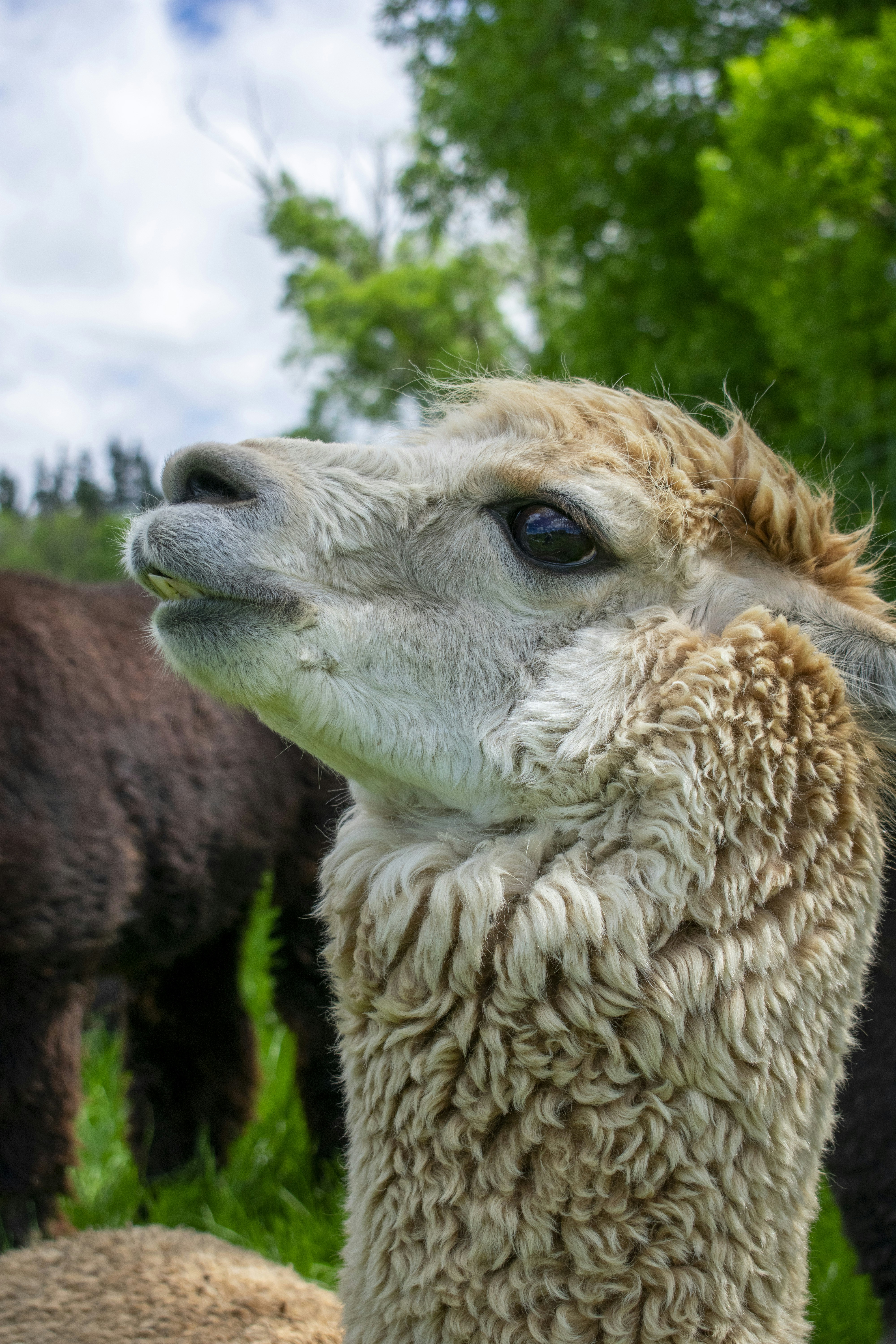 Photo by ellephant_photography