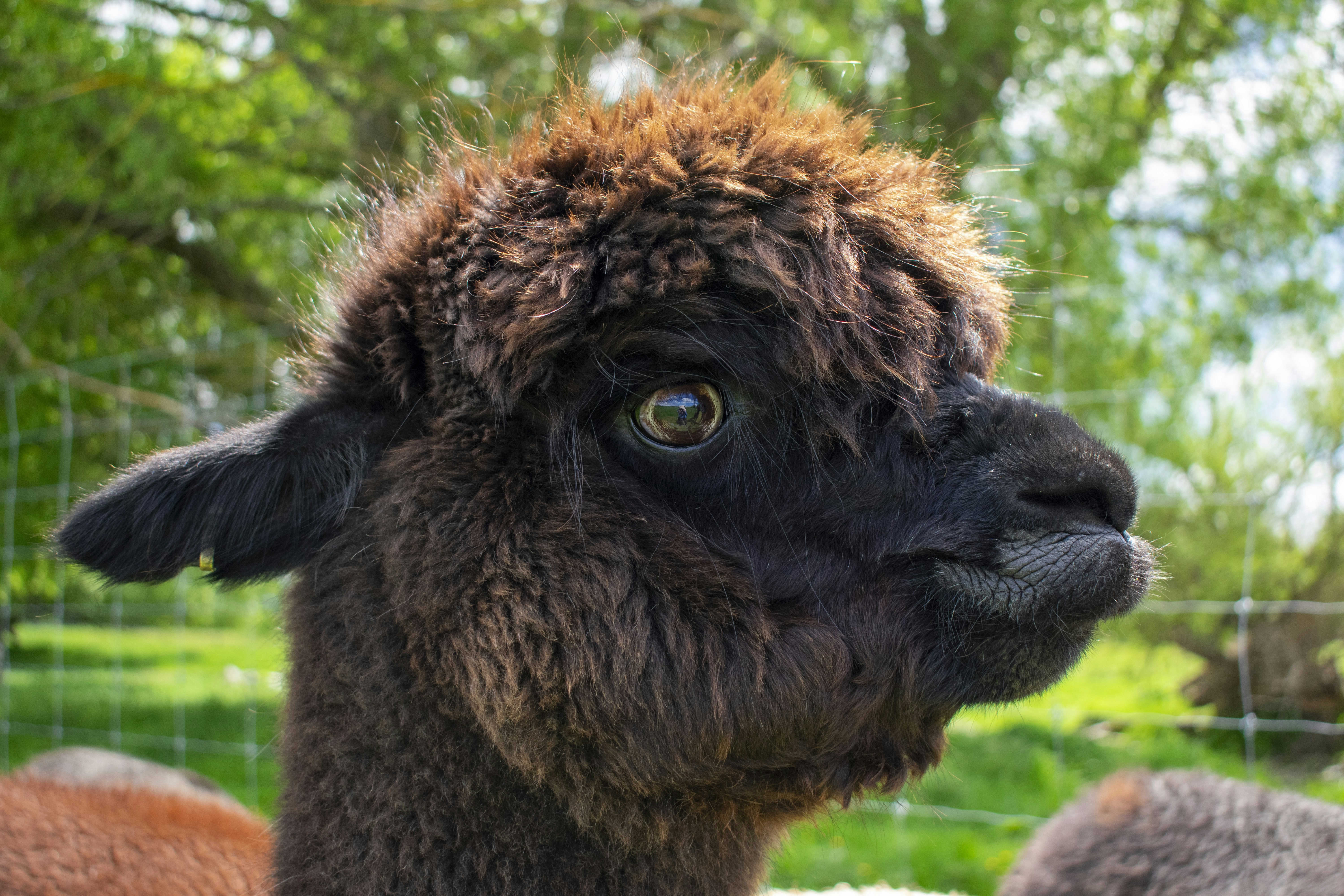 Photo by ellephant_photography