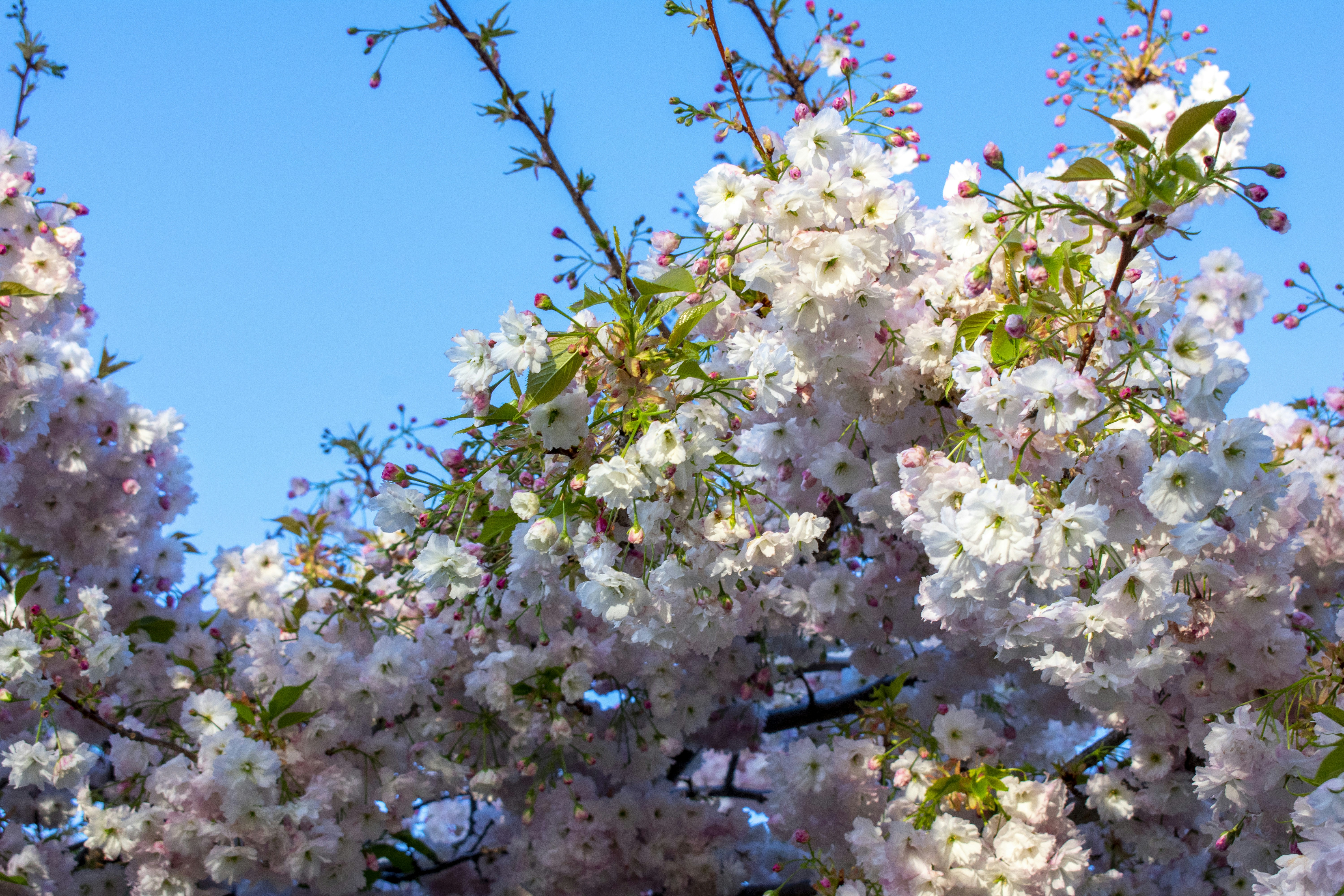 Photo by ellephant_photography