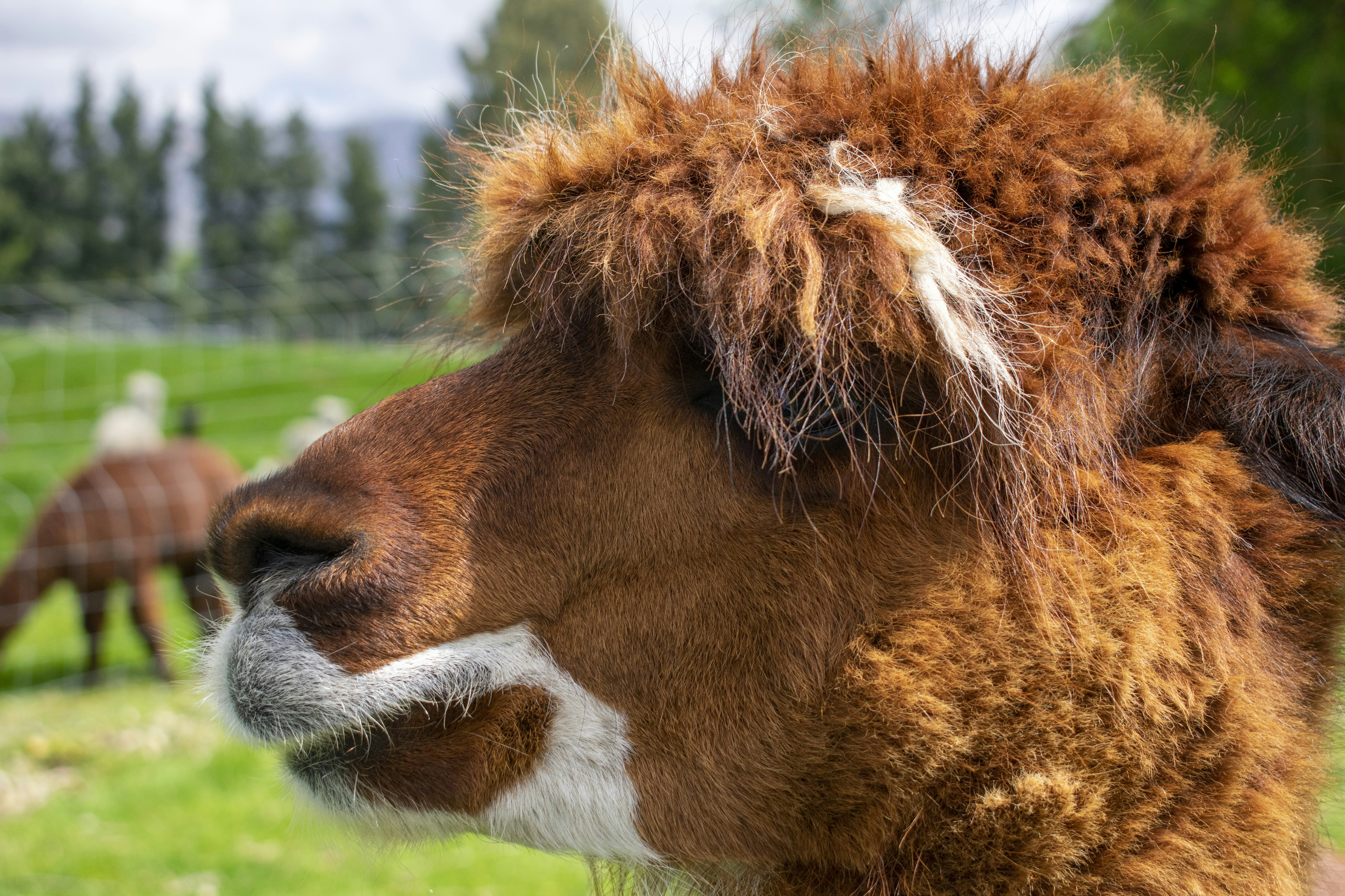 Photo by ellephant_photography