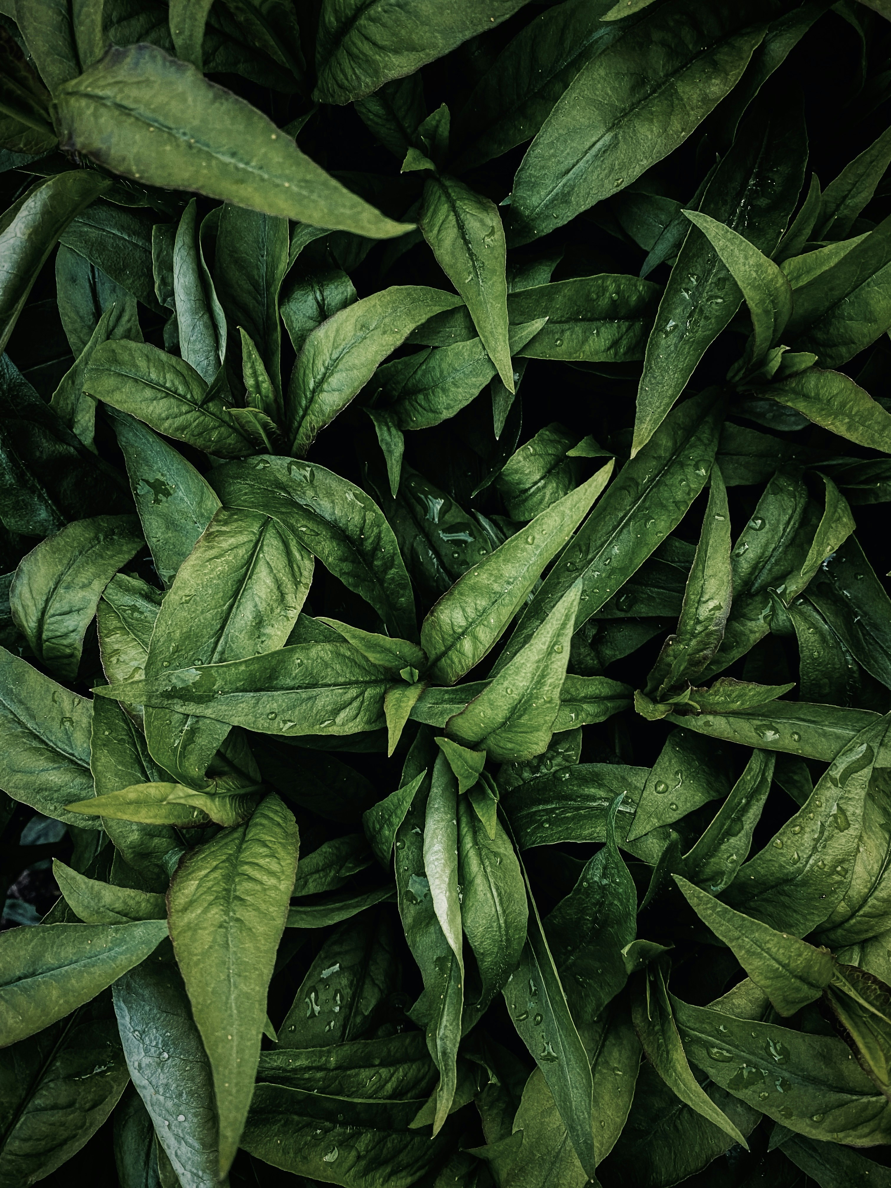 Photo by eugene_golovesov