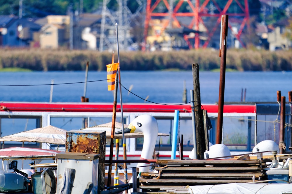 a white bird on a boat