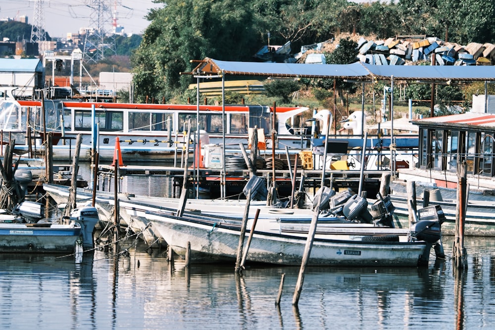 boats docked at a pier