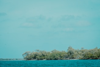 A scenic view of the Andaman Islands with clear blue waters.