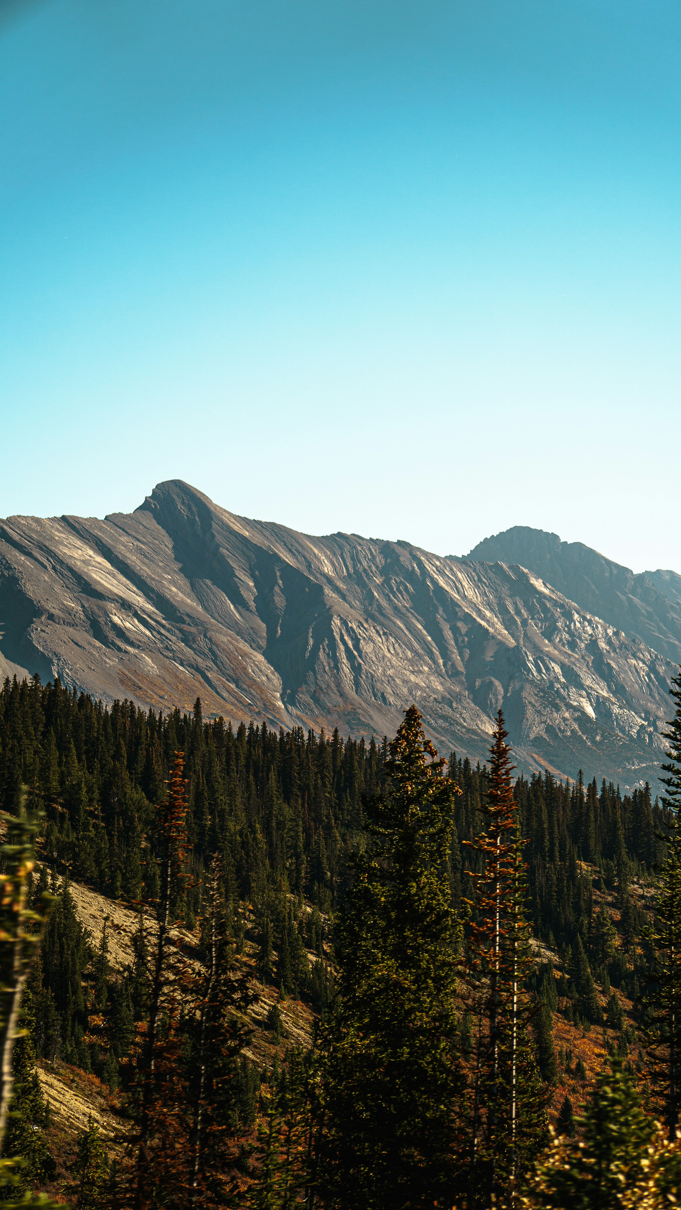 Photo by tfrankcreations