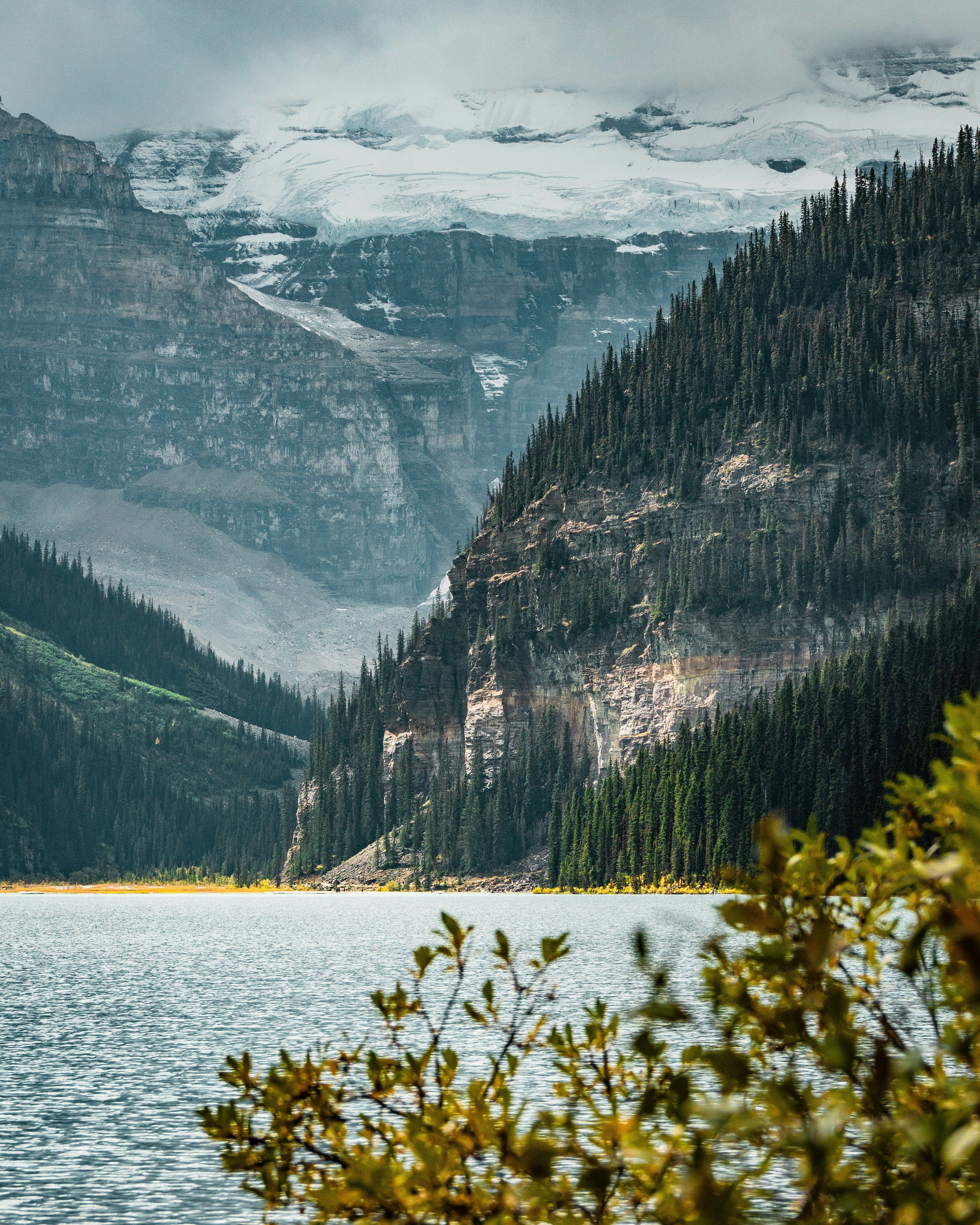 Photo by tfrankcreations