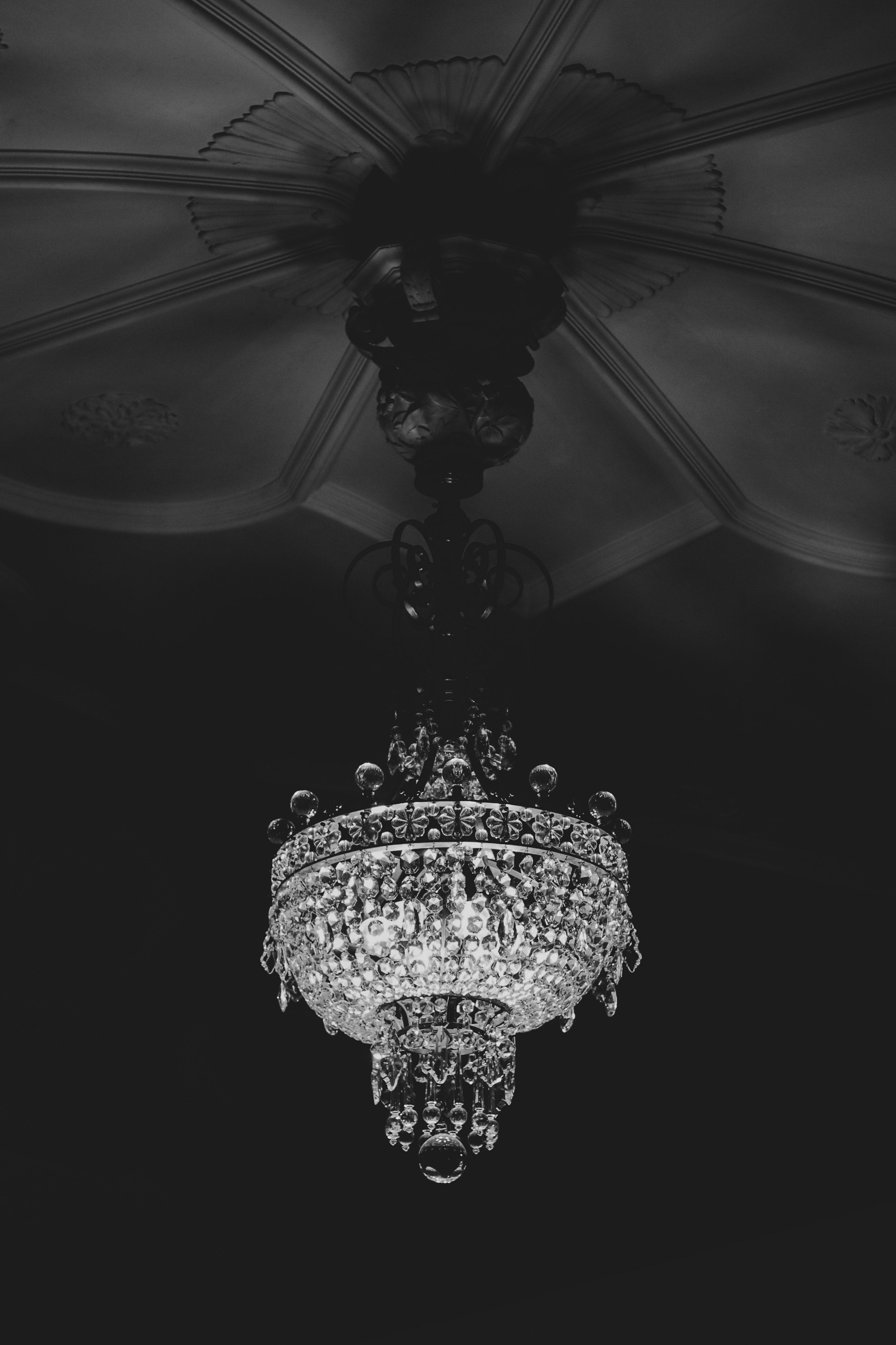 Photo by focalinsight