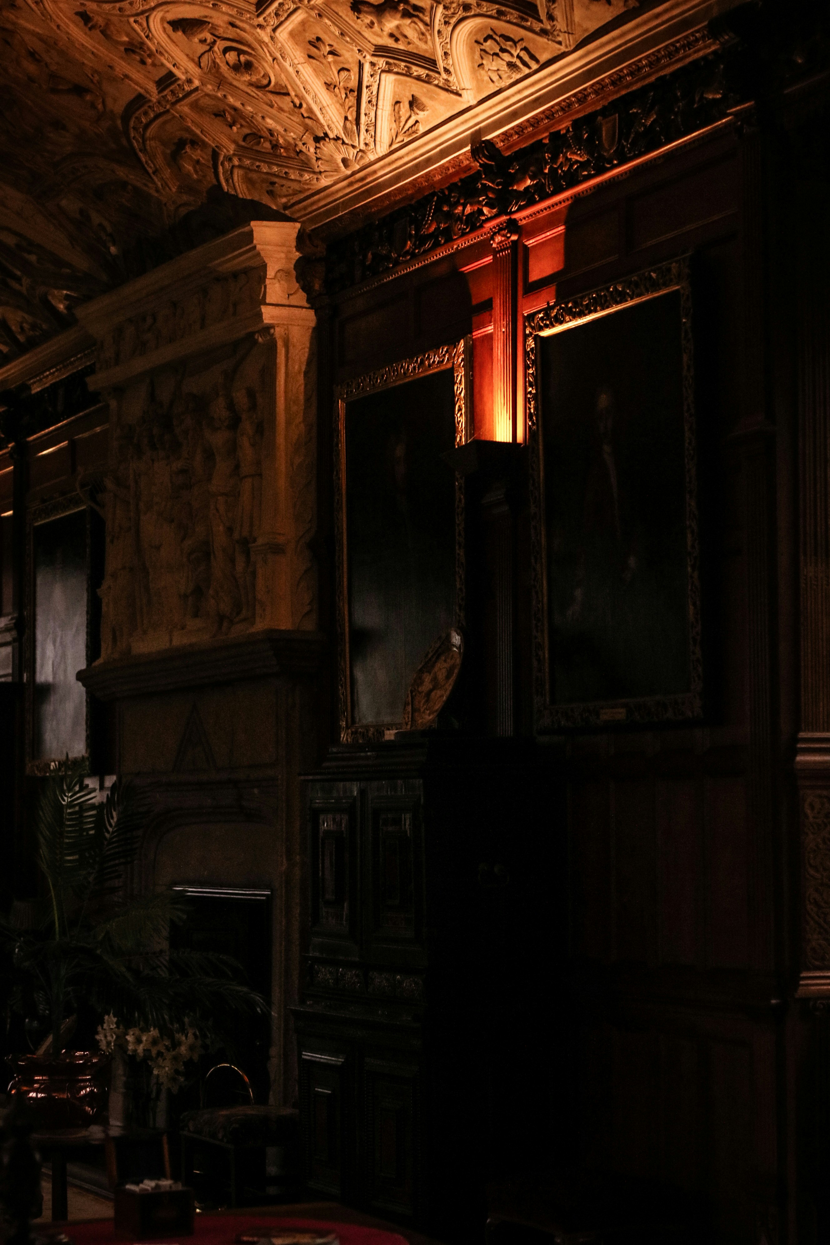 Photo by focalinsight