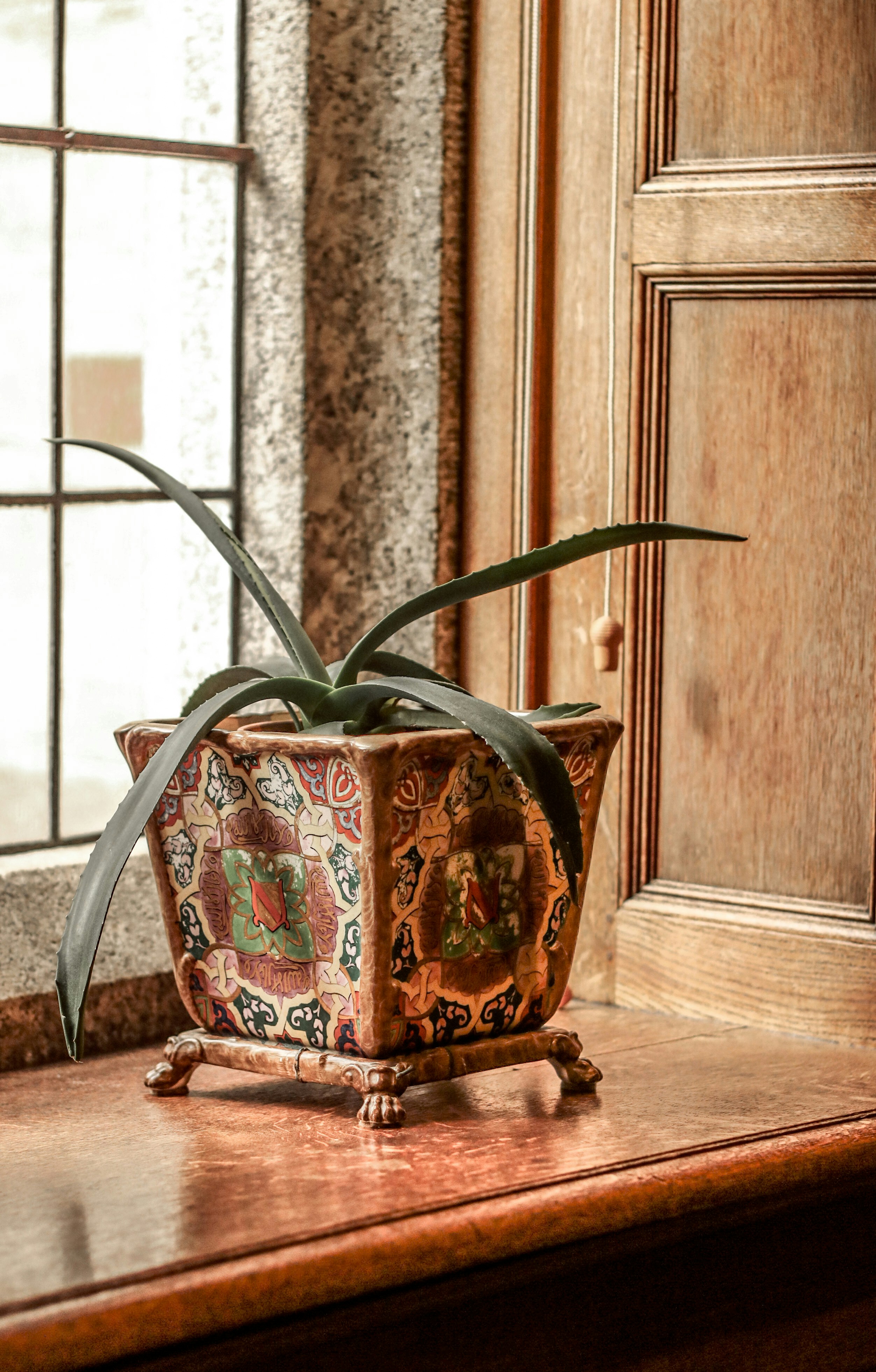 Photo by focalinsight