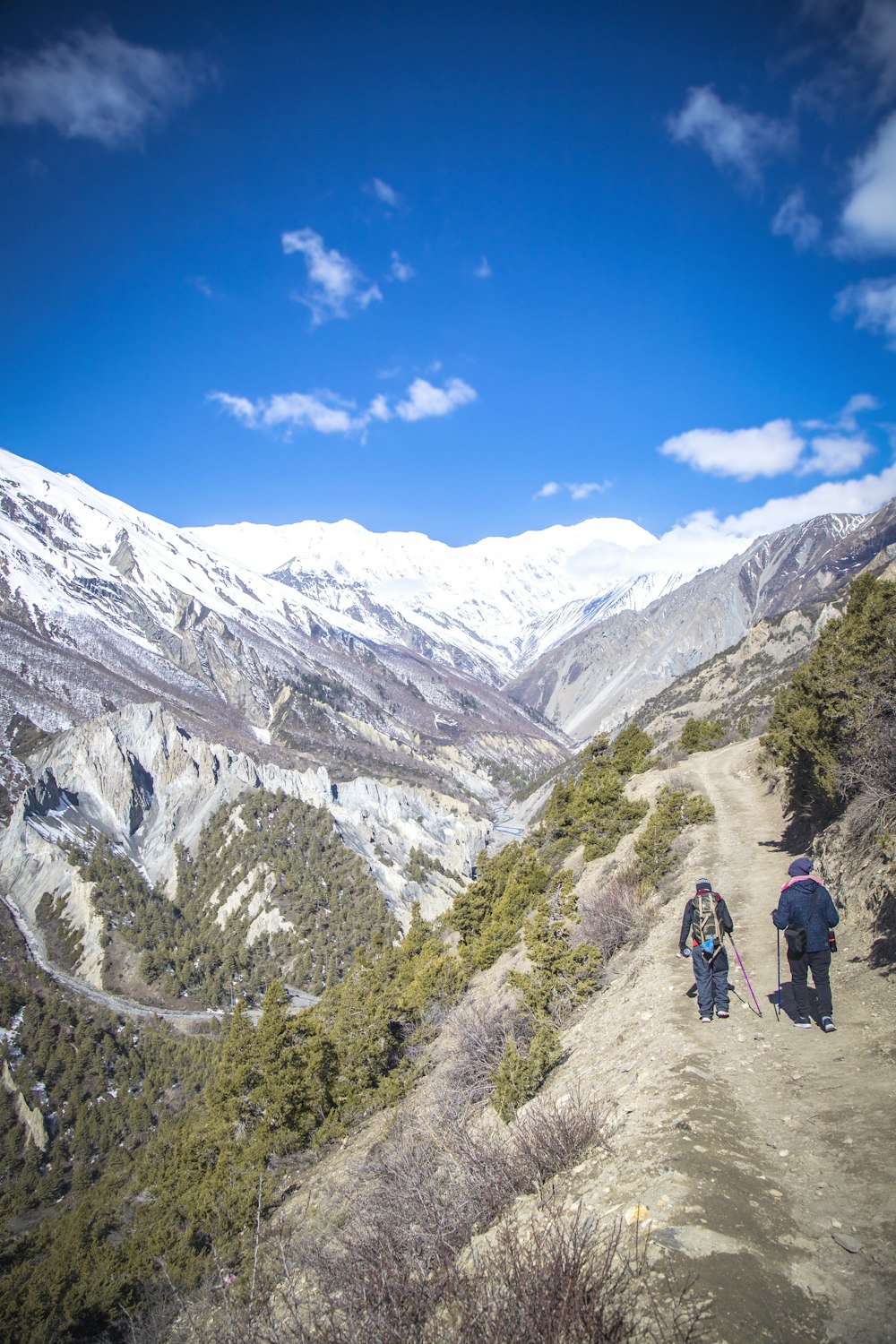 a group of people hiking on a mountain