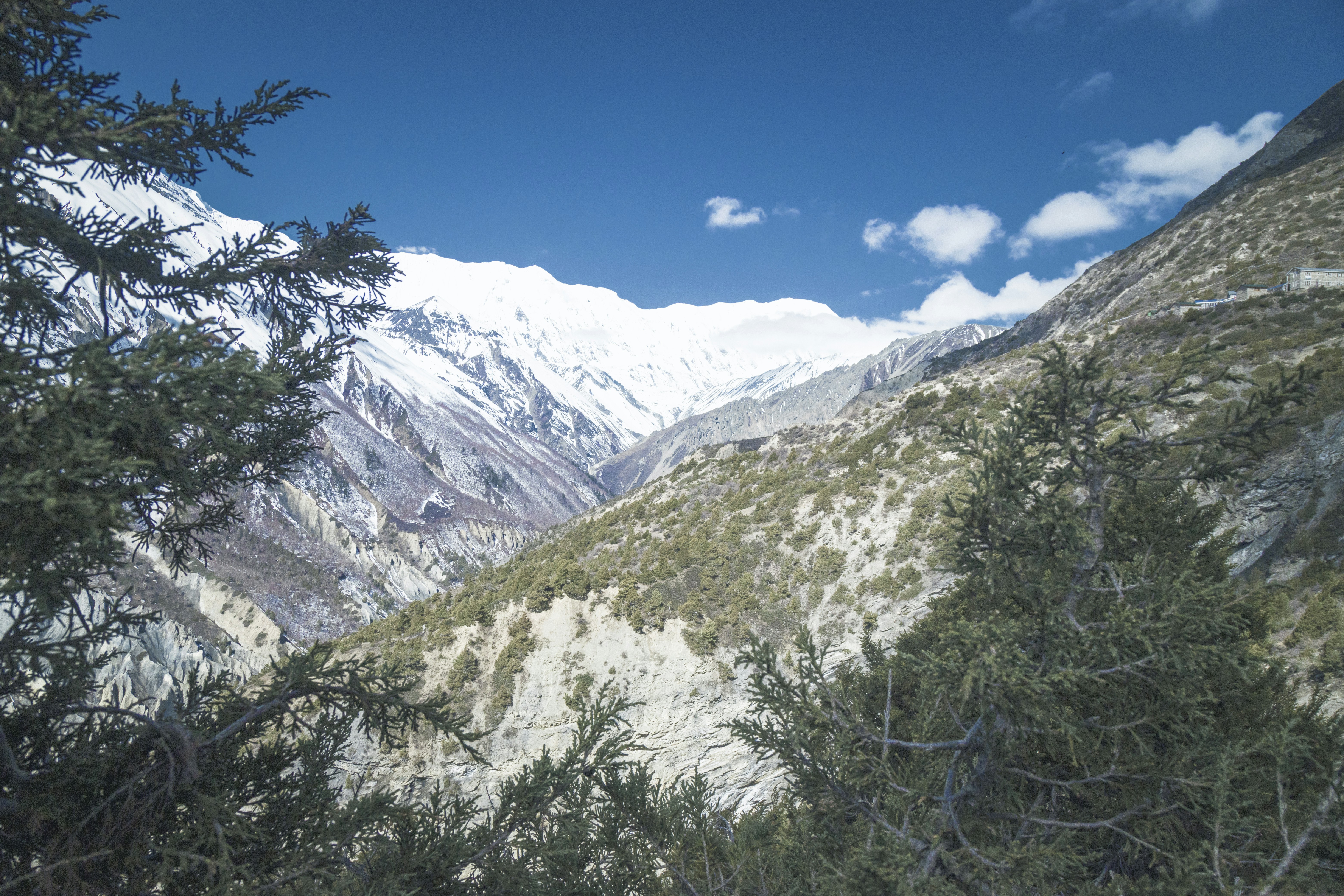 Photo by ashokjkshetri