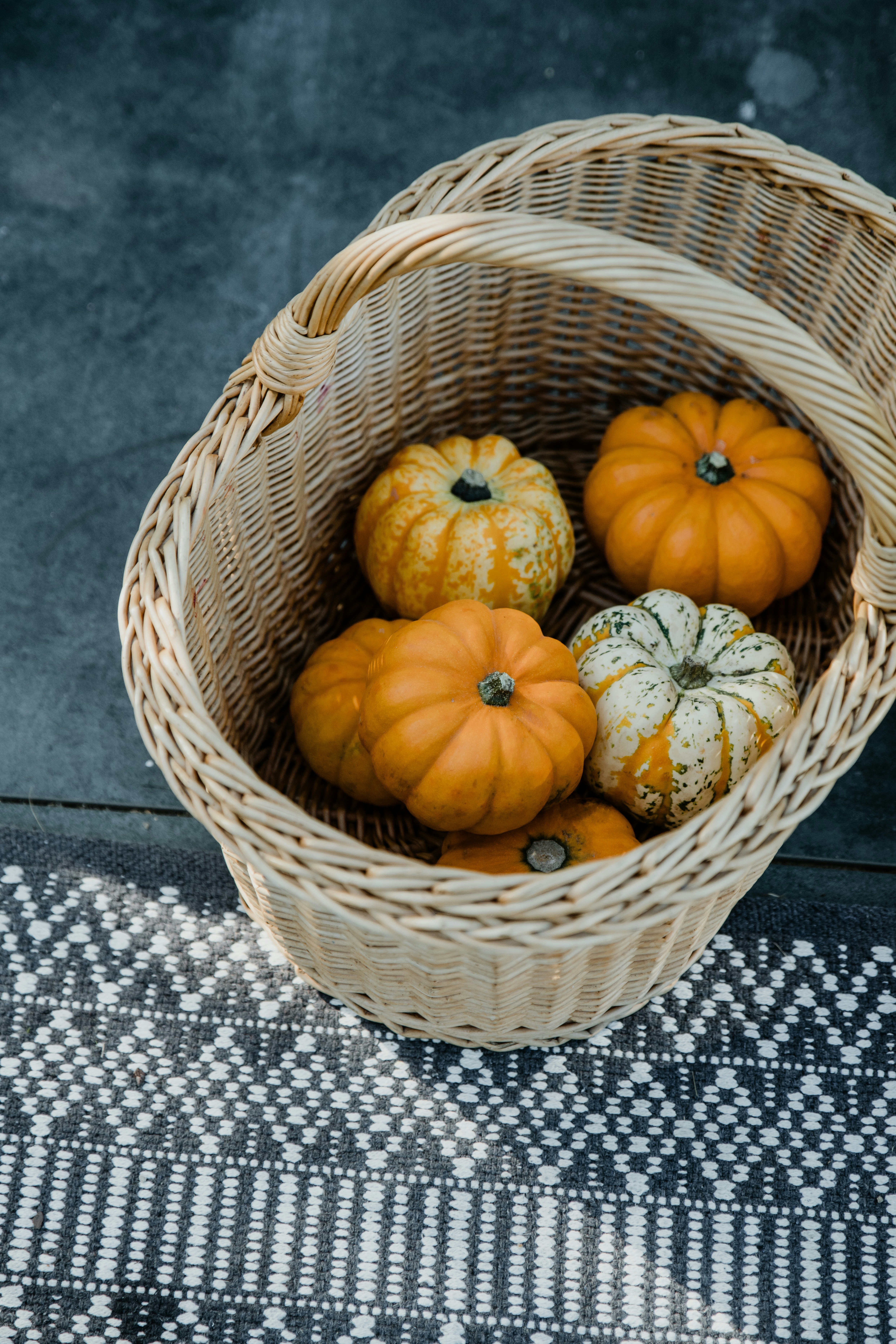 Photo by anitaaustvika