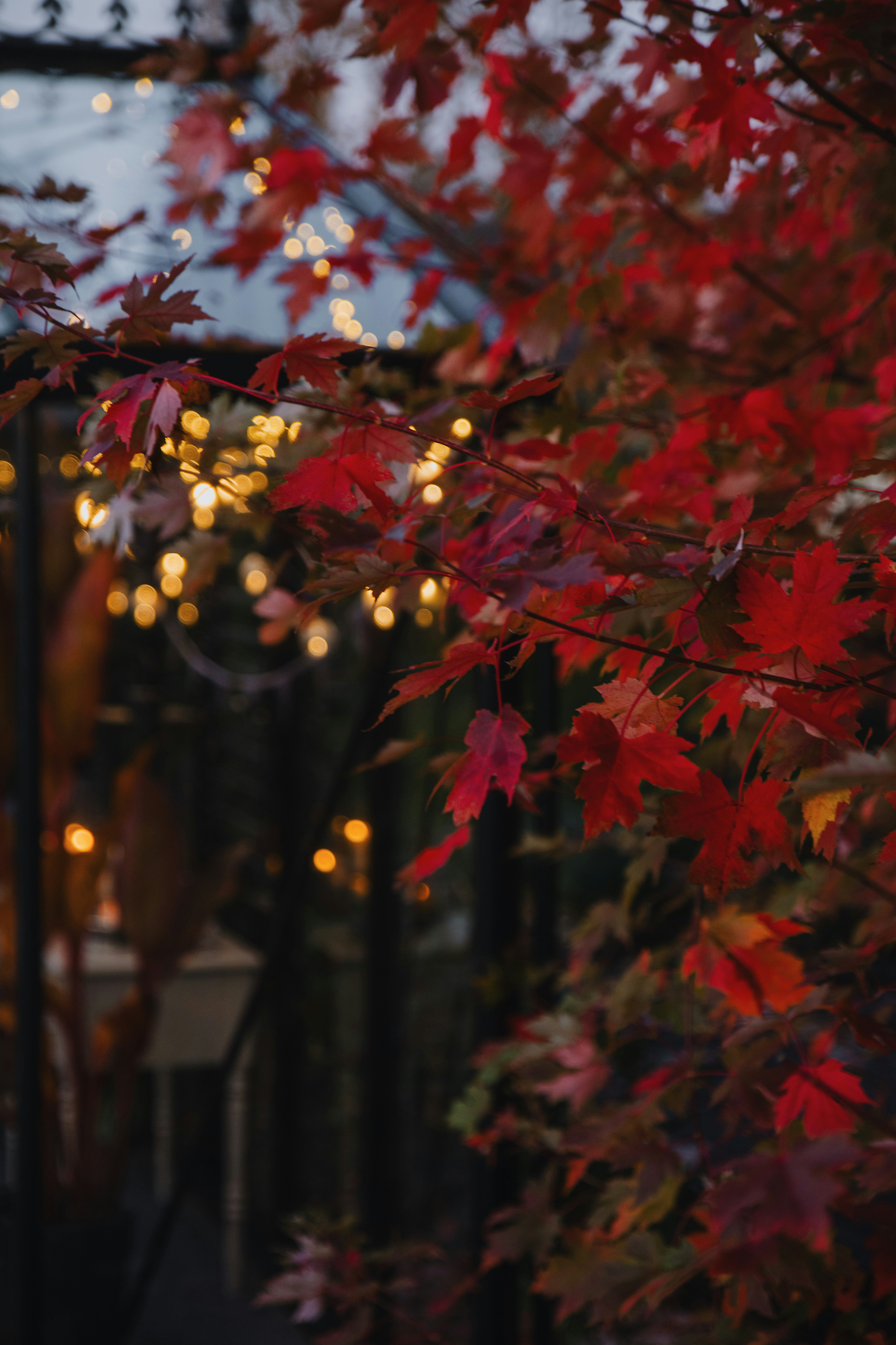 Photo by anitaaustvika