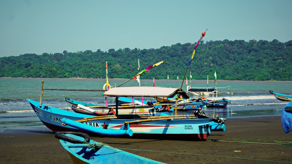 boats on the beach