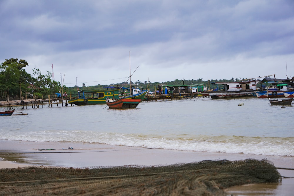 boats in the water