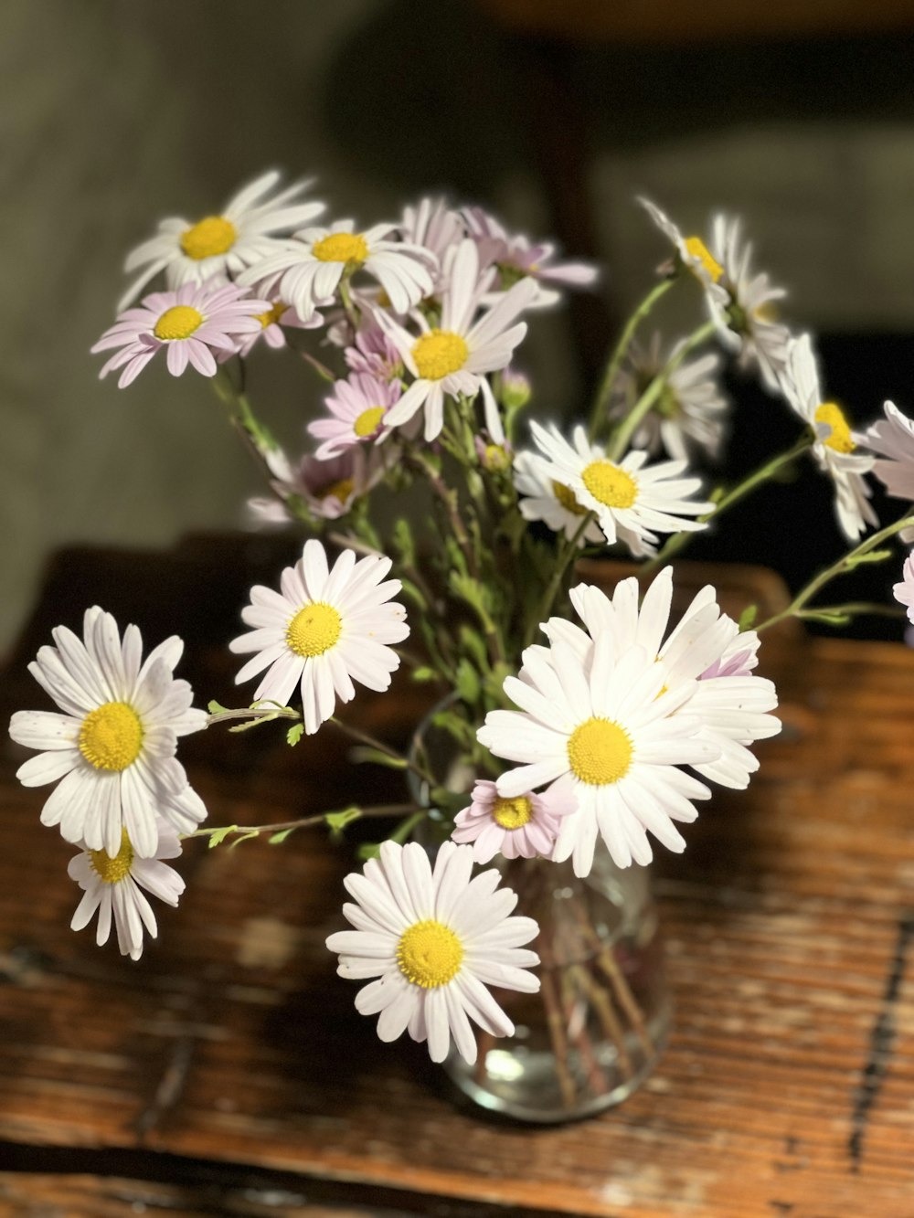 a vase with white flowers