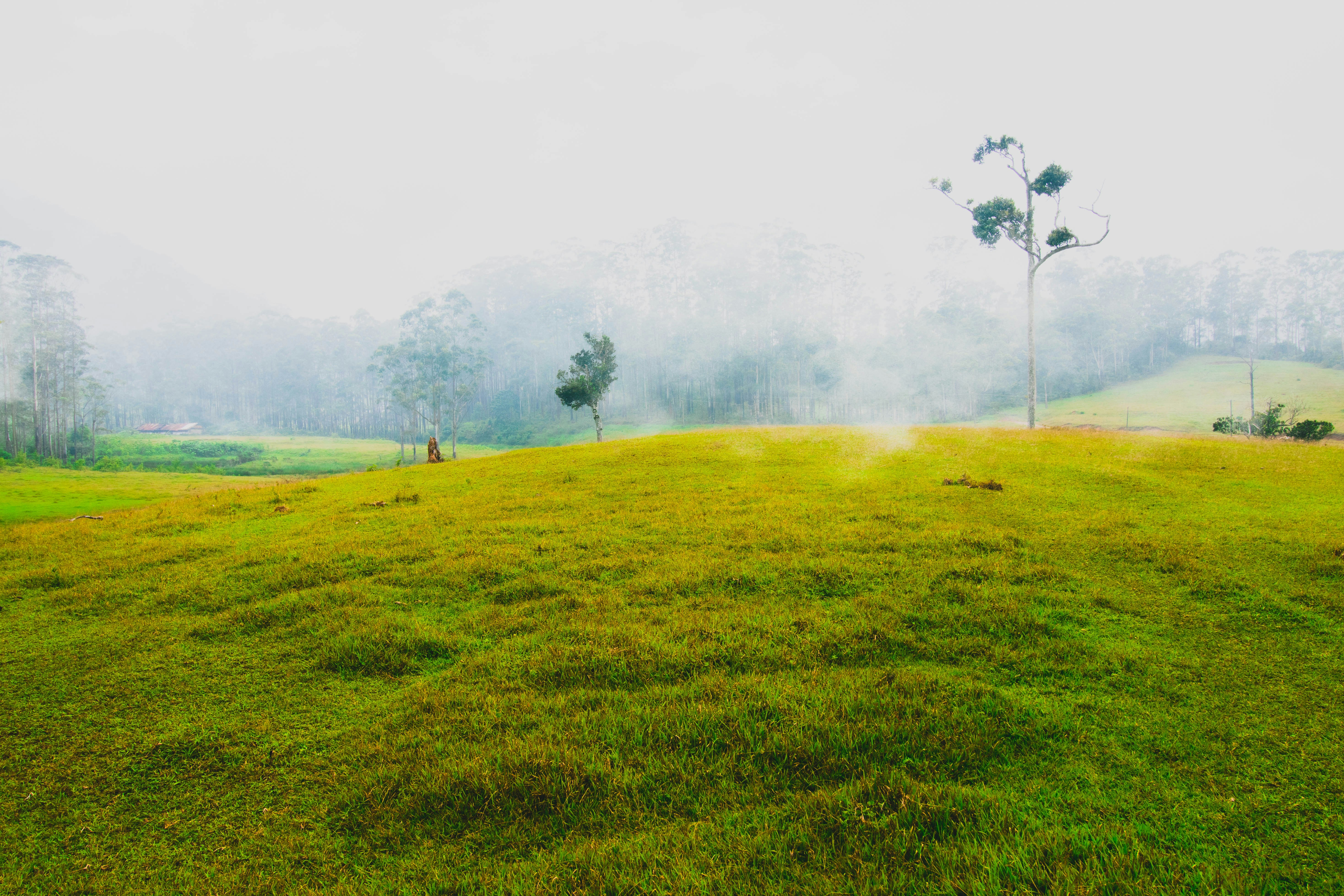 Công viên Golf Valley