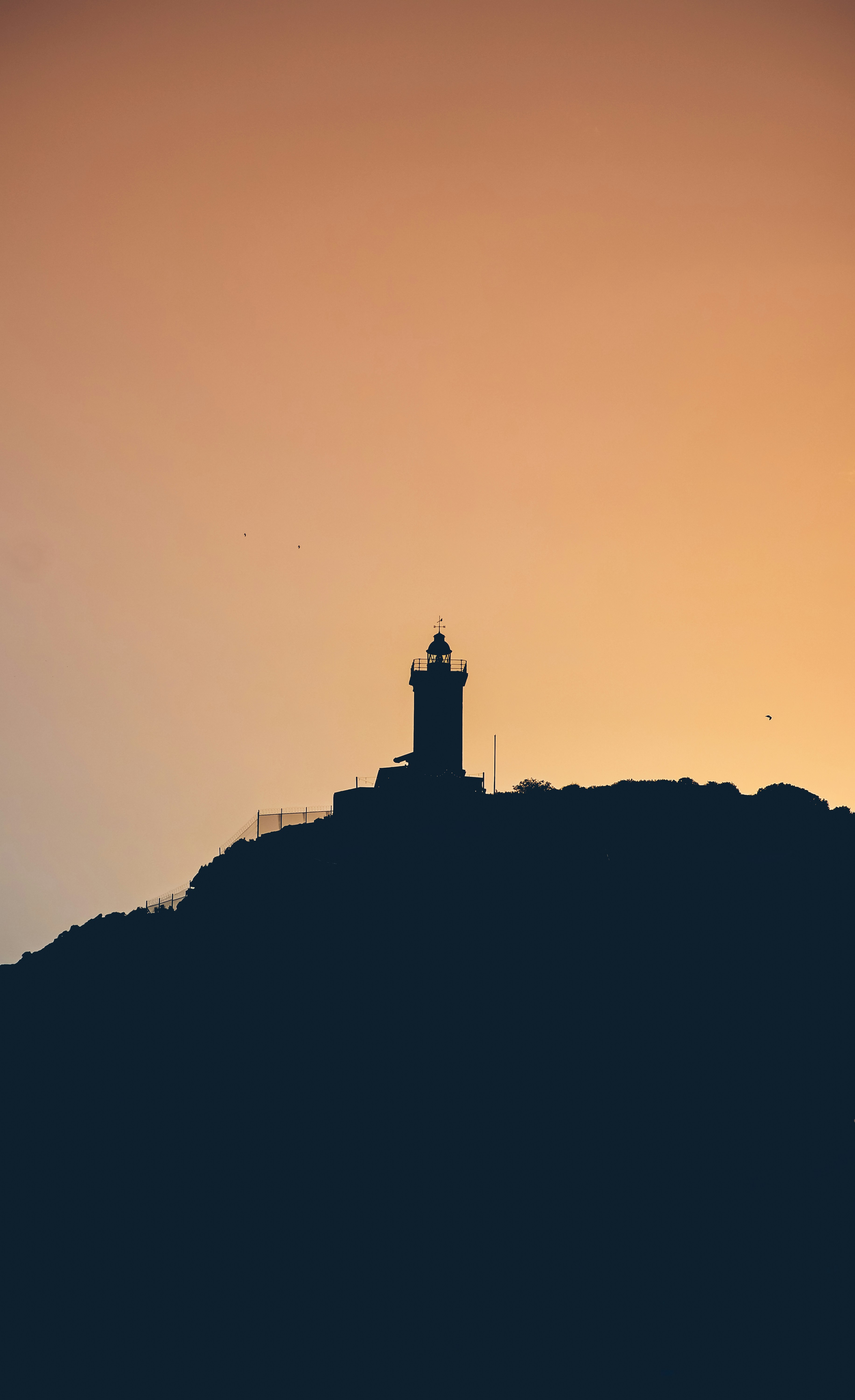 Photo by bayexpressions