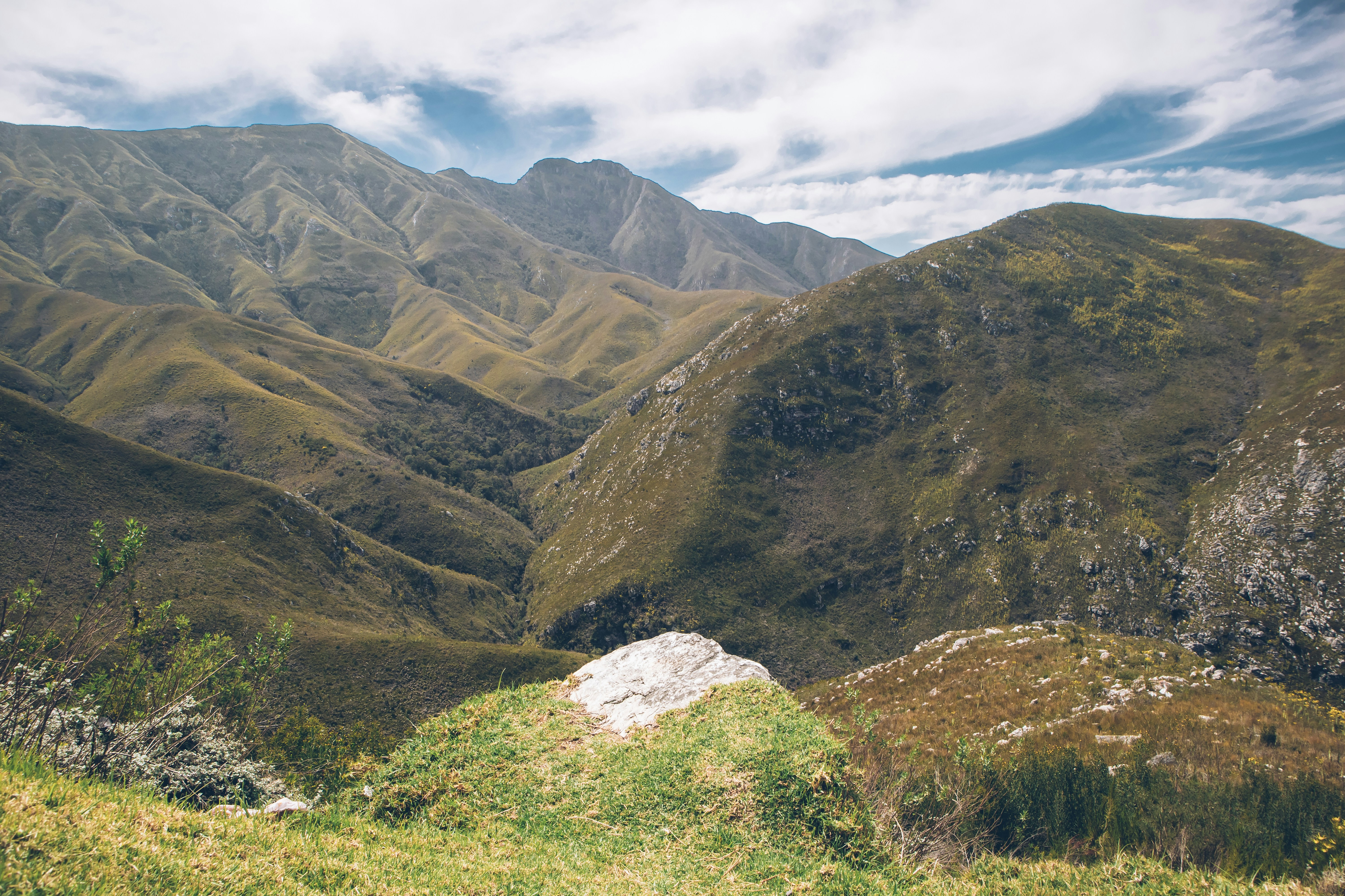 Photo by bayexpressions