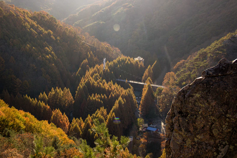 Best Photo Spots in Daejeon: 10 Locations Worth the Walk