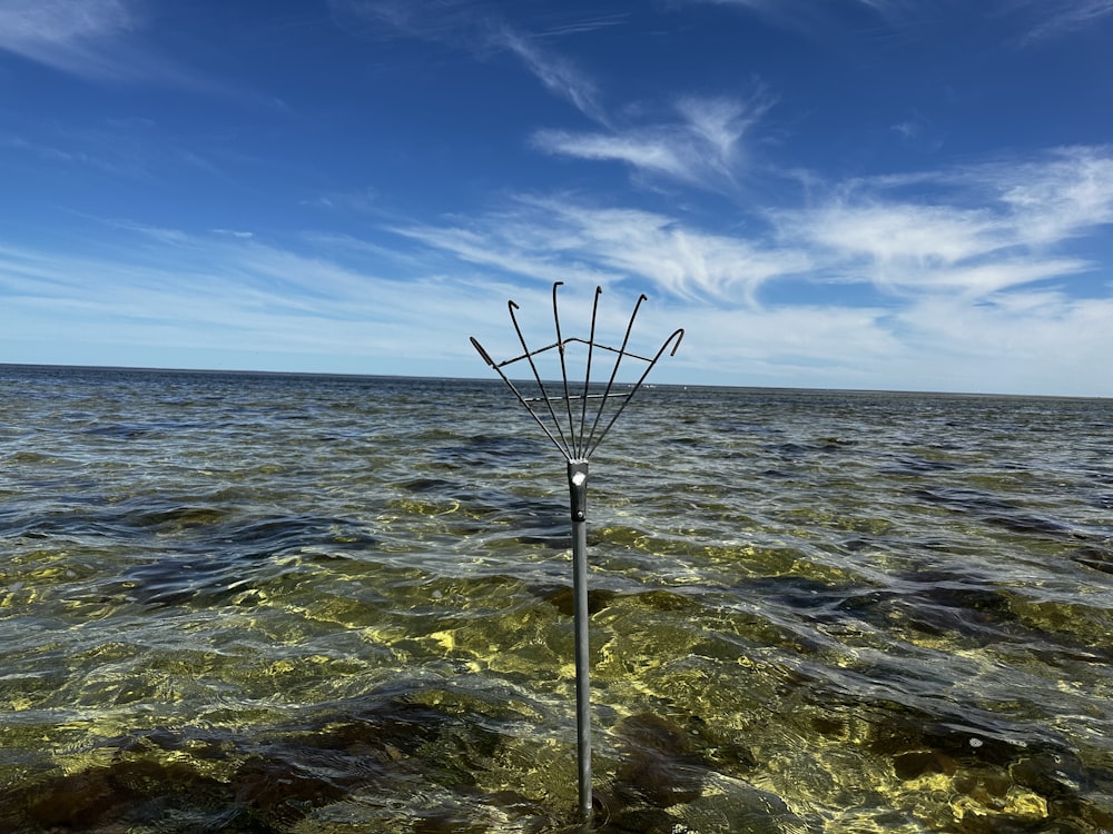 a pole in the water