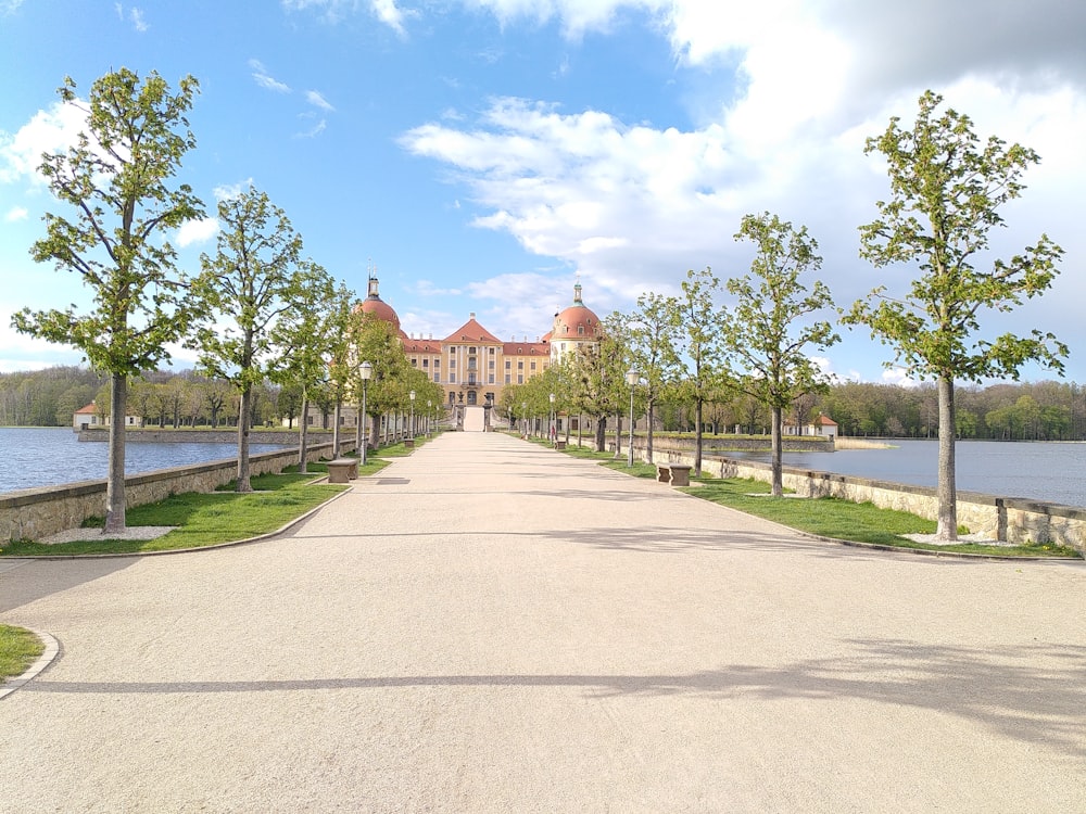 a road with trees and a building in the background