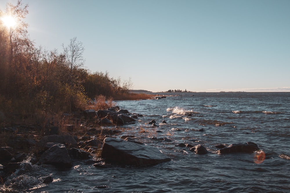 a body of water with rocks and trees around it