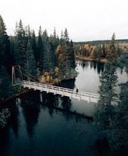 a person walking on a bridge over a river surrounded by trees