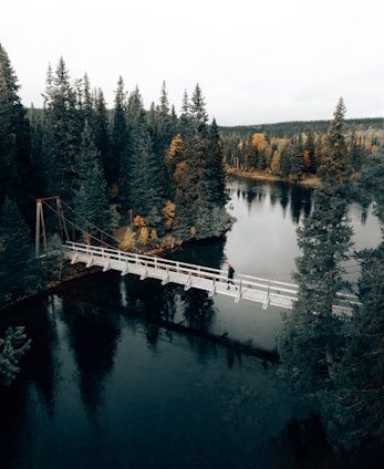a person walking on a bridge over a river surrounded by trees