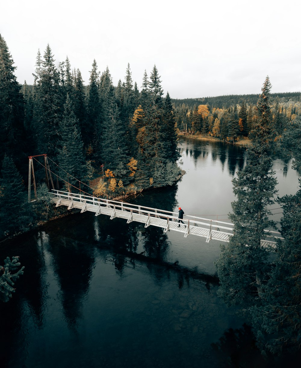 a person walking on a bridge over a river surrounded by trees