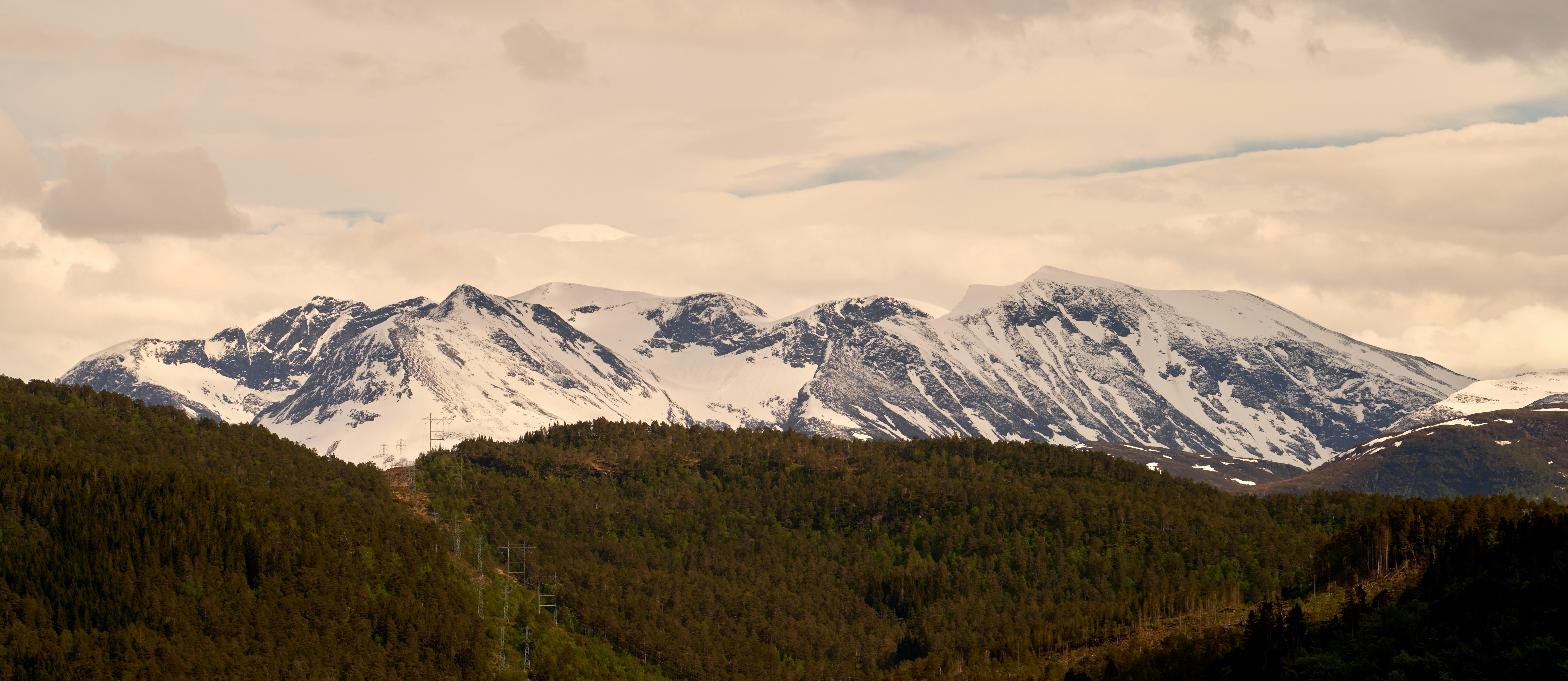 Photo by davotibarna