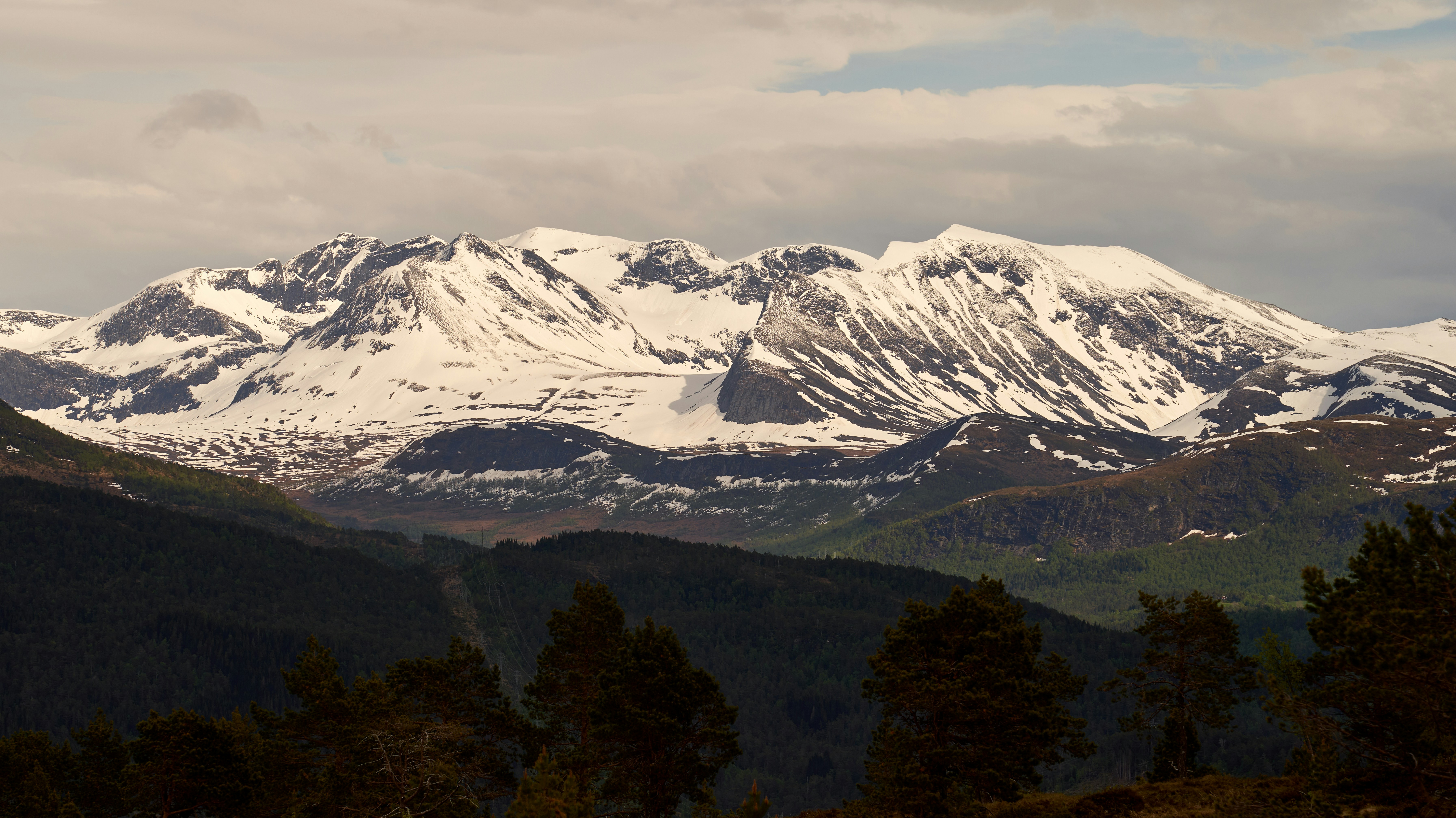 Photo by davotibarna