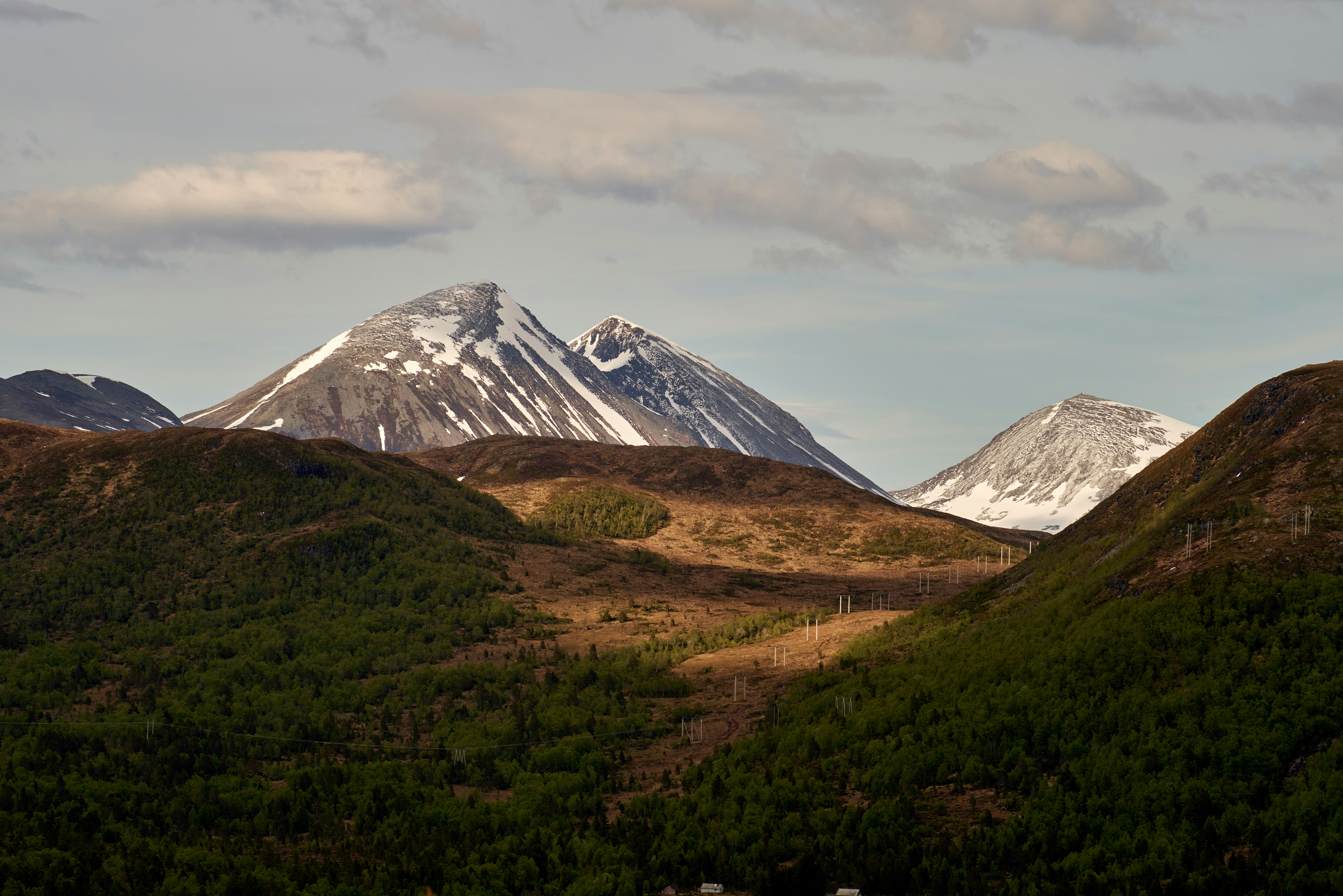 Photo by davotibarna